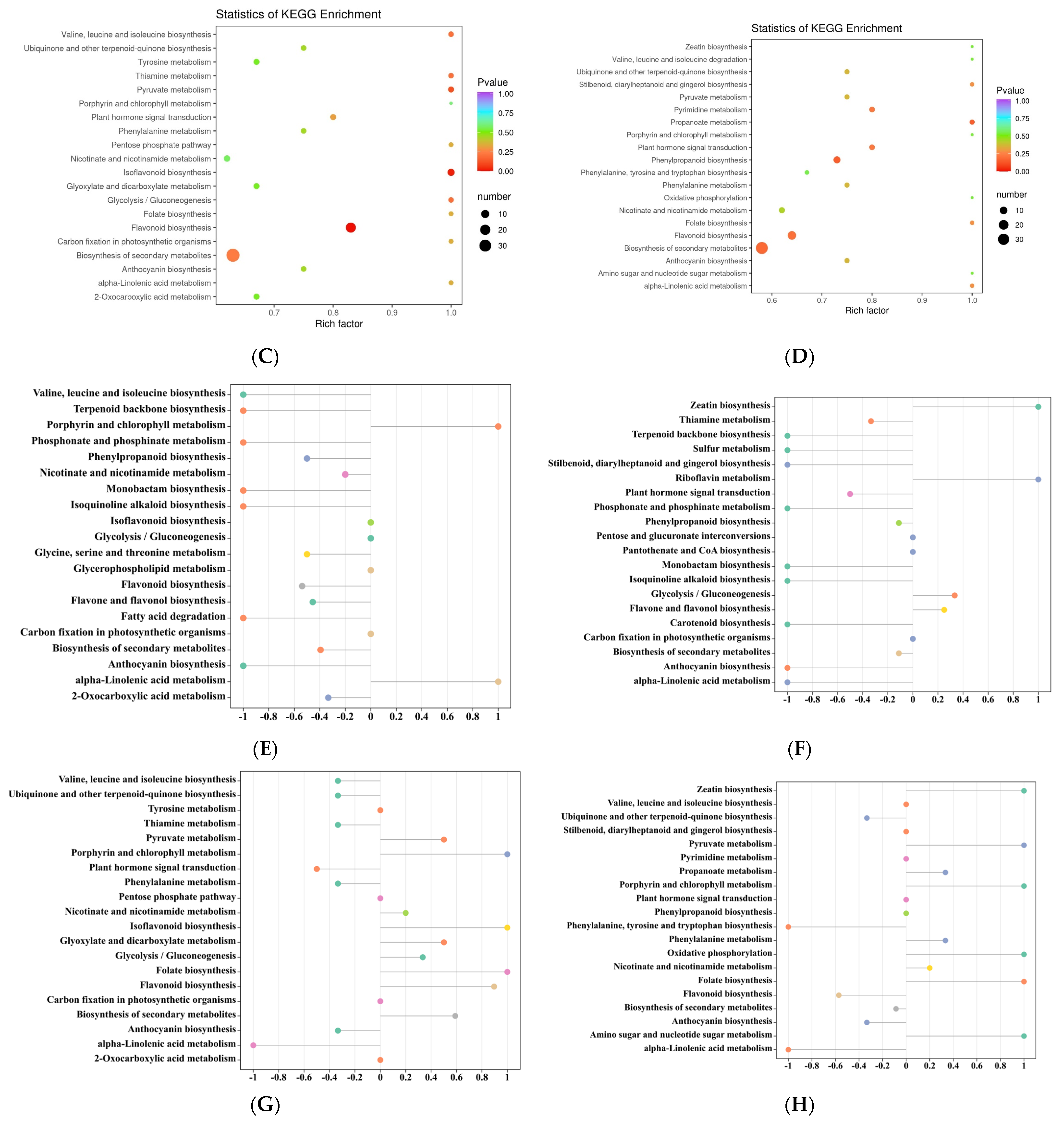 Foods 13 00796 g010b