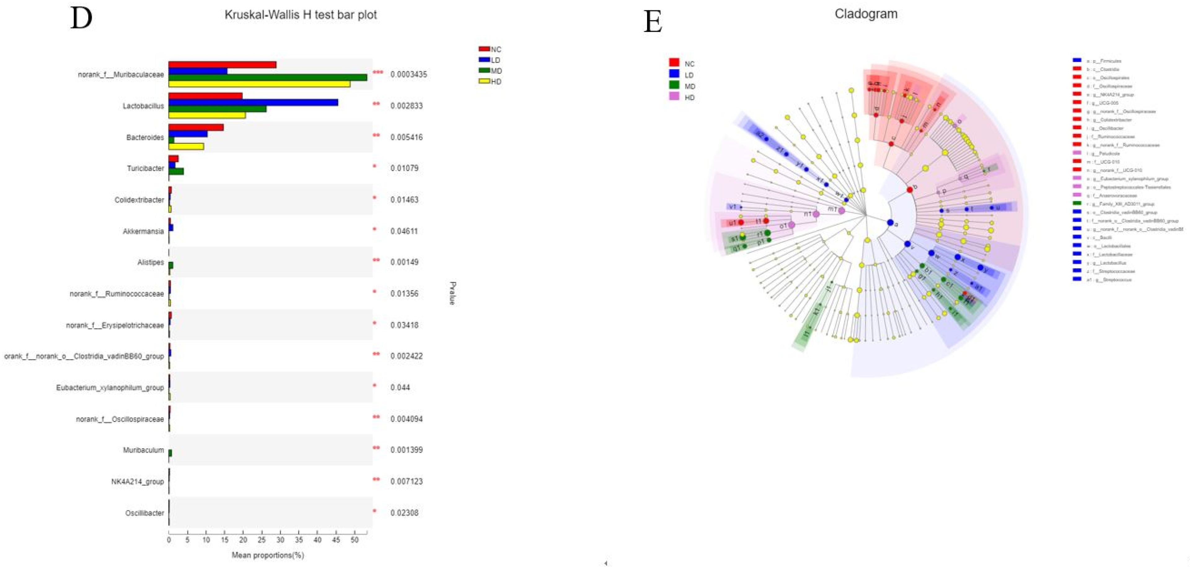 Foods 13 00842 g006b