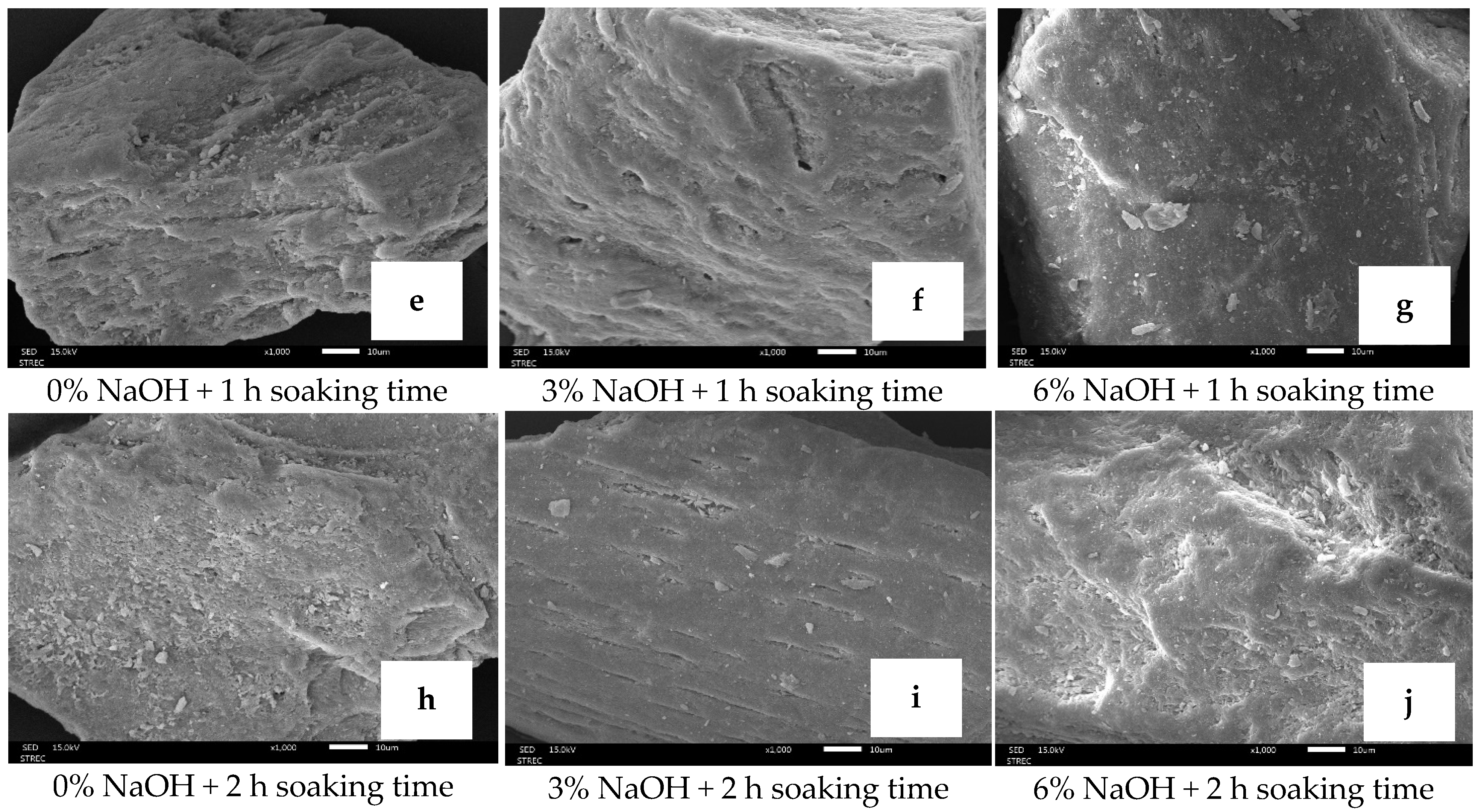 Foods 13 00882 g009b