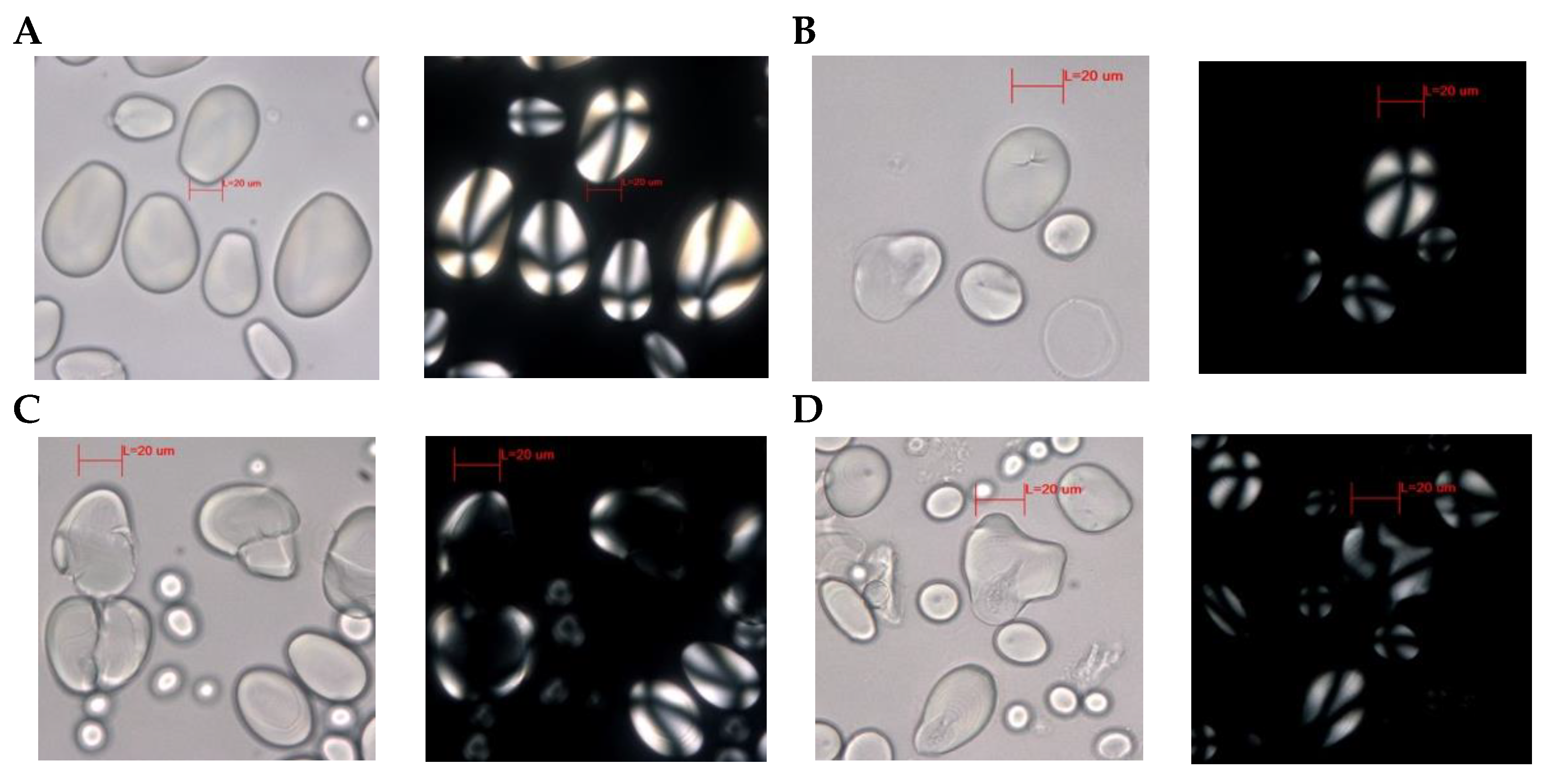 Foods 13 01090 g003a