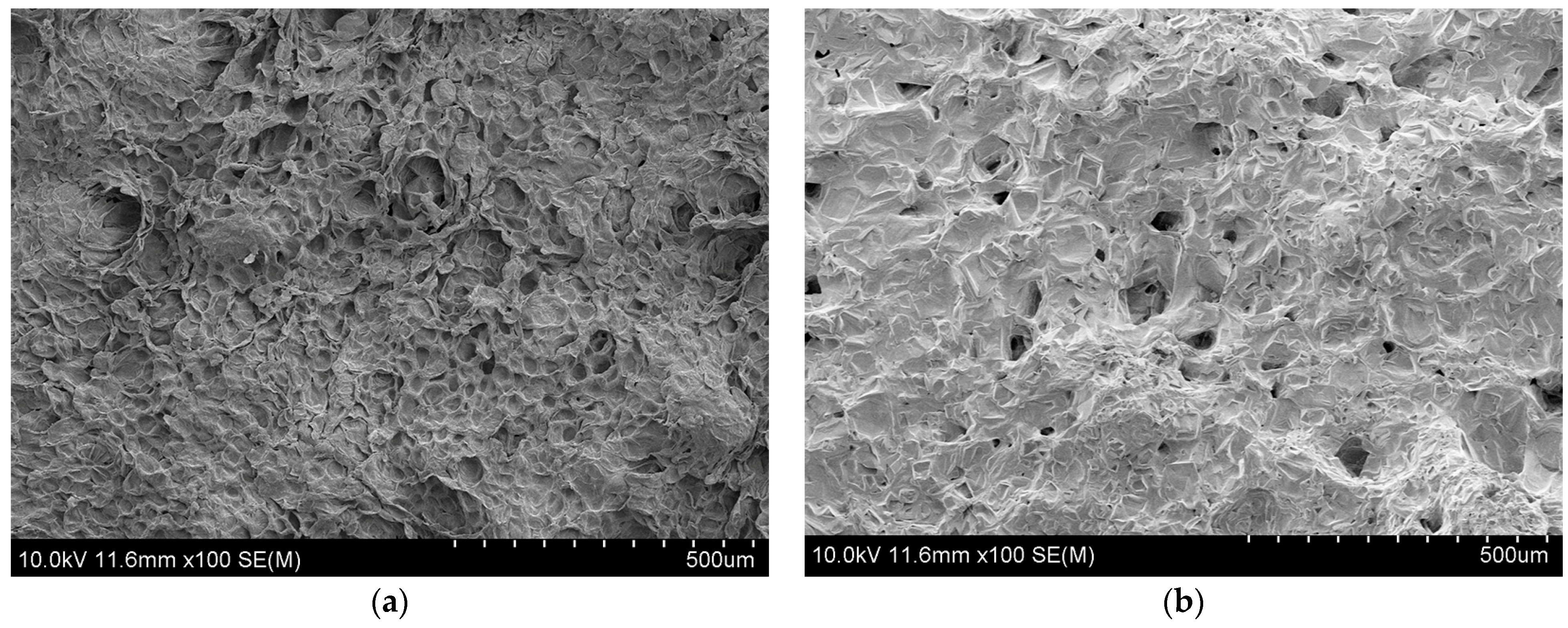Foods 13 01295 g010a