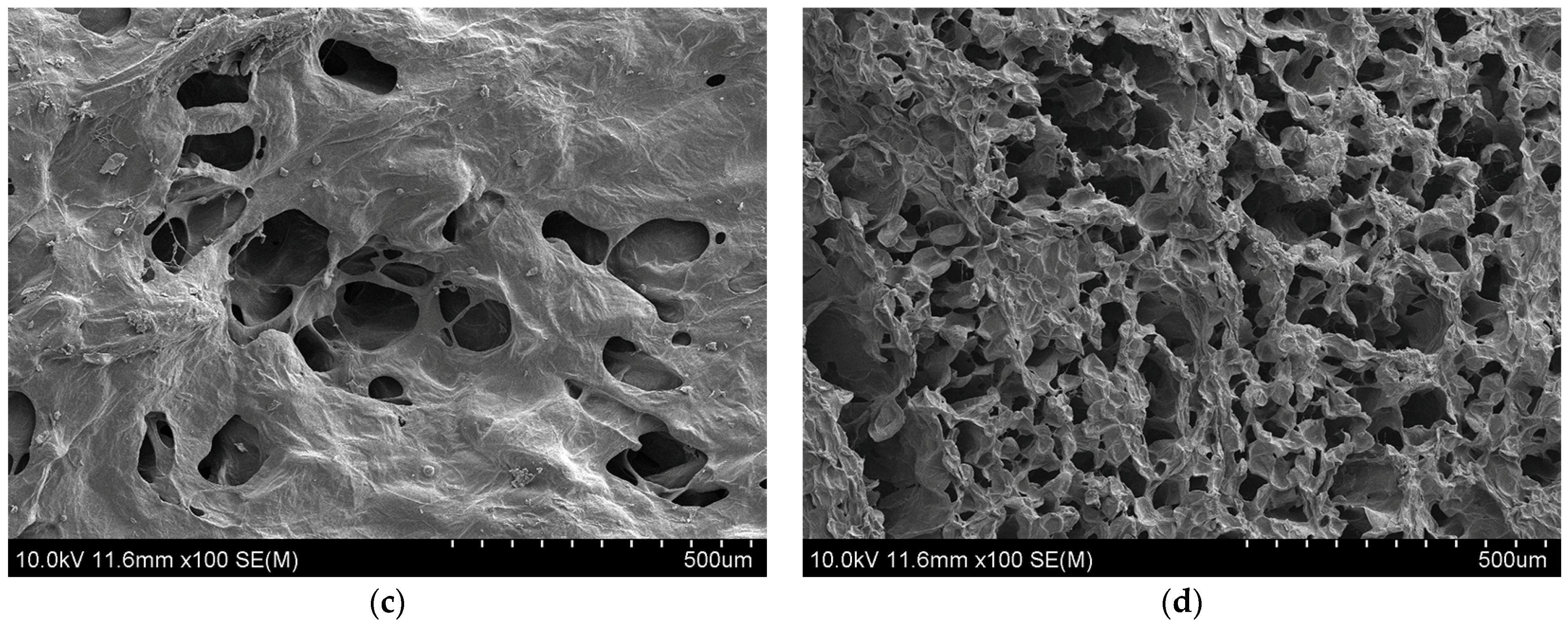 Foods 13 01295 g010b