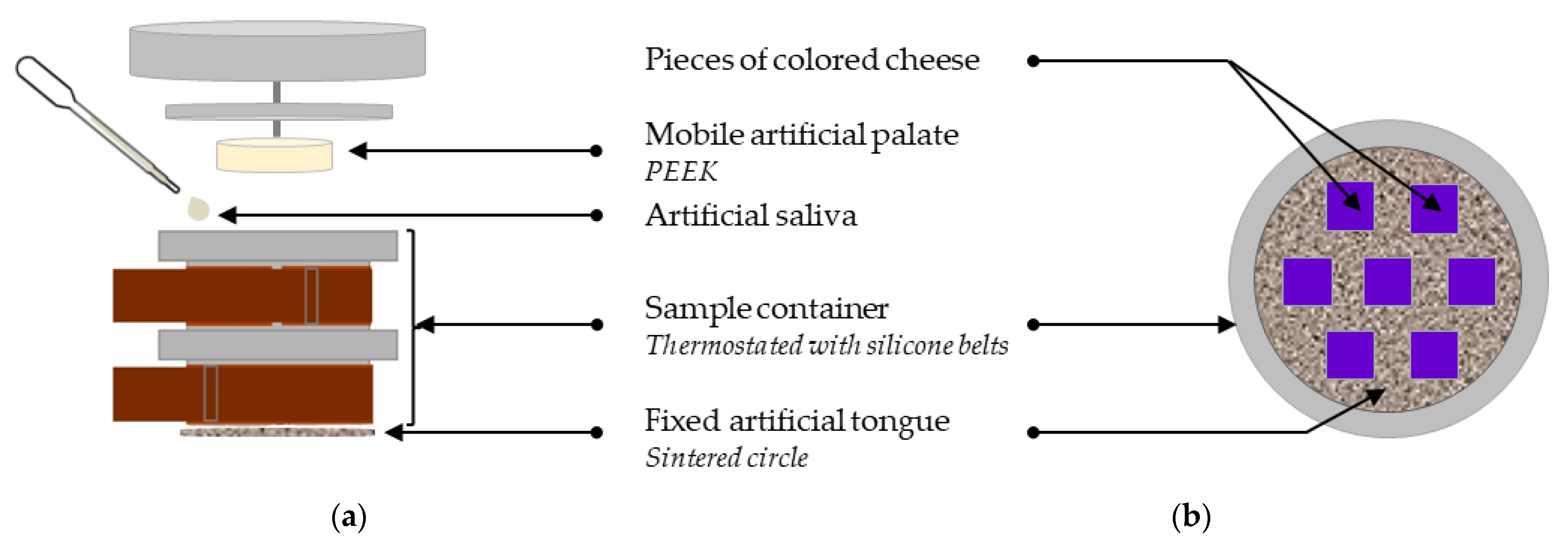 Foods 13 01318 g003 Foods 13 01318 g003