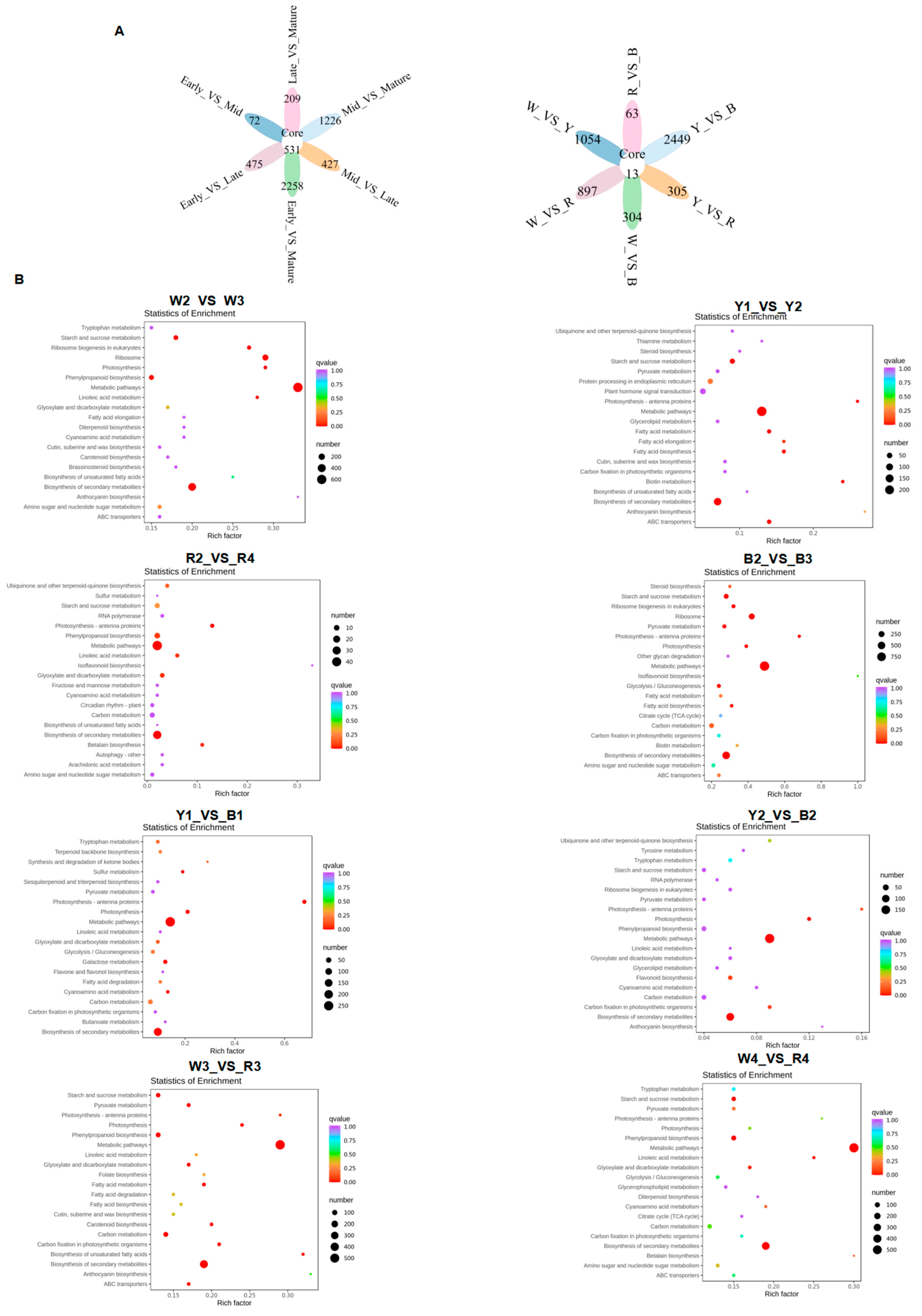 Foods 13 01325 g004 Foods 13 01325 g004