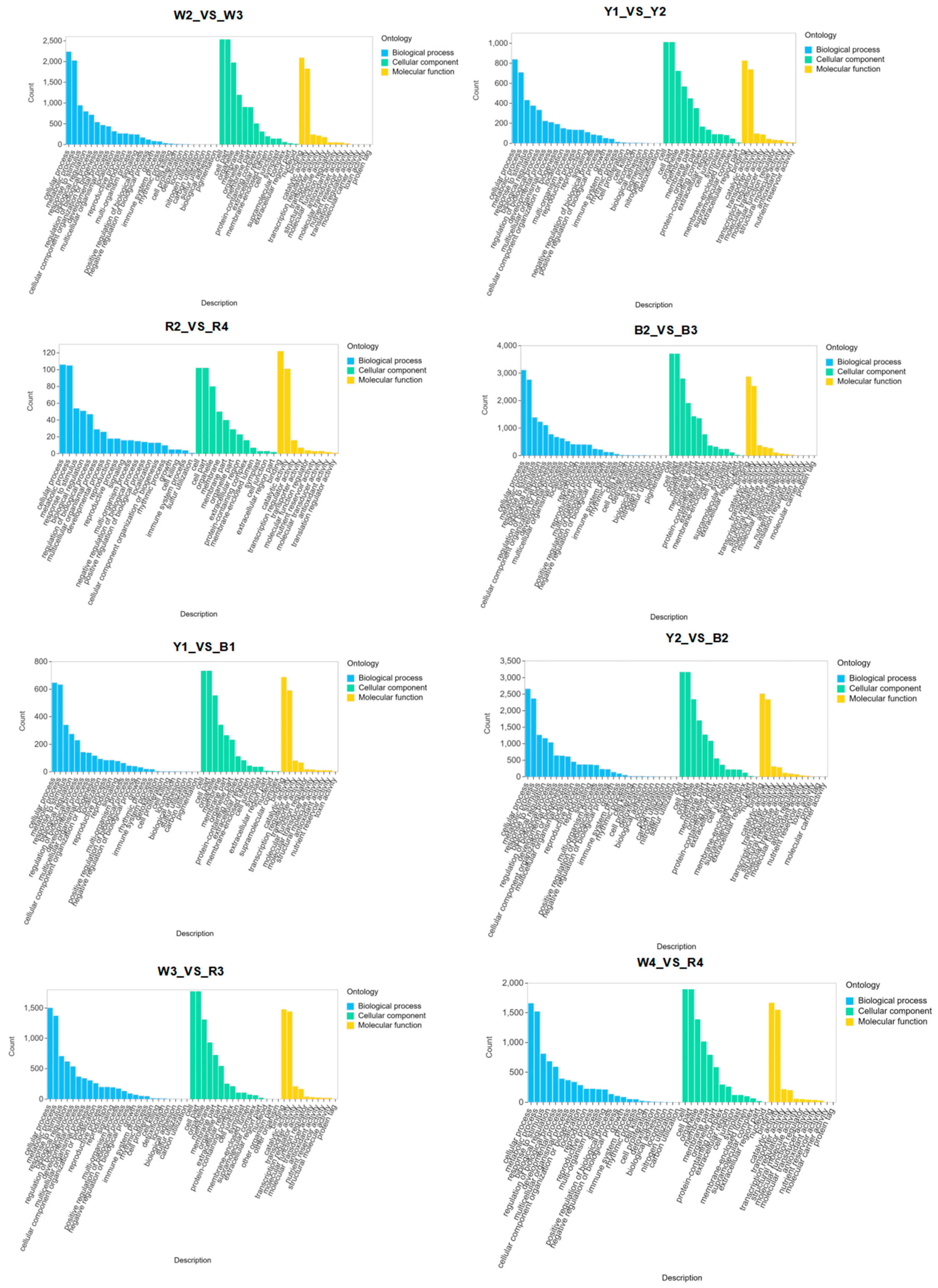 Foods 13 01325 g005 Foods 13 01325 g005