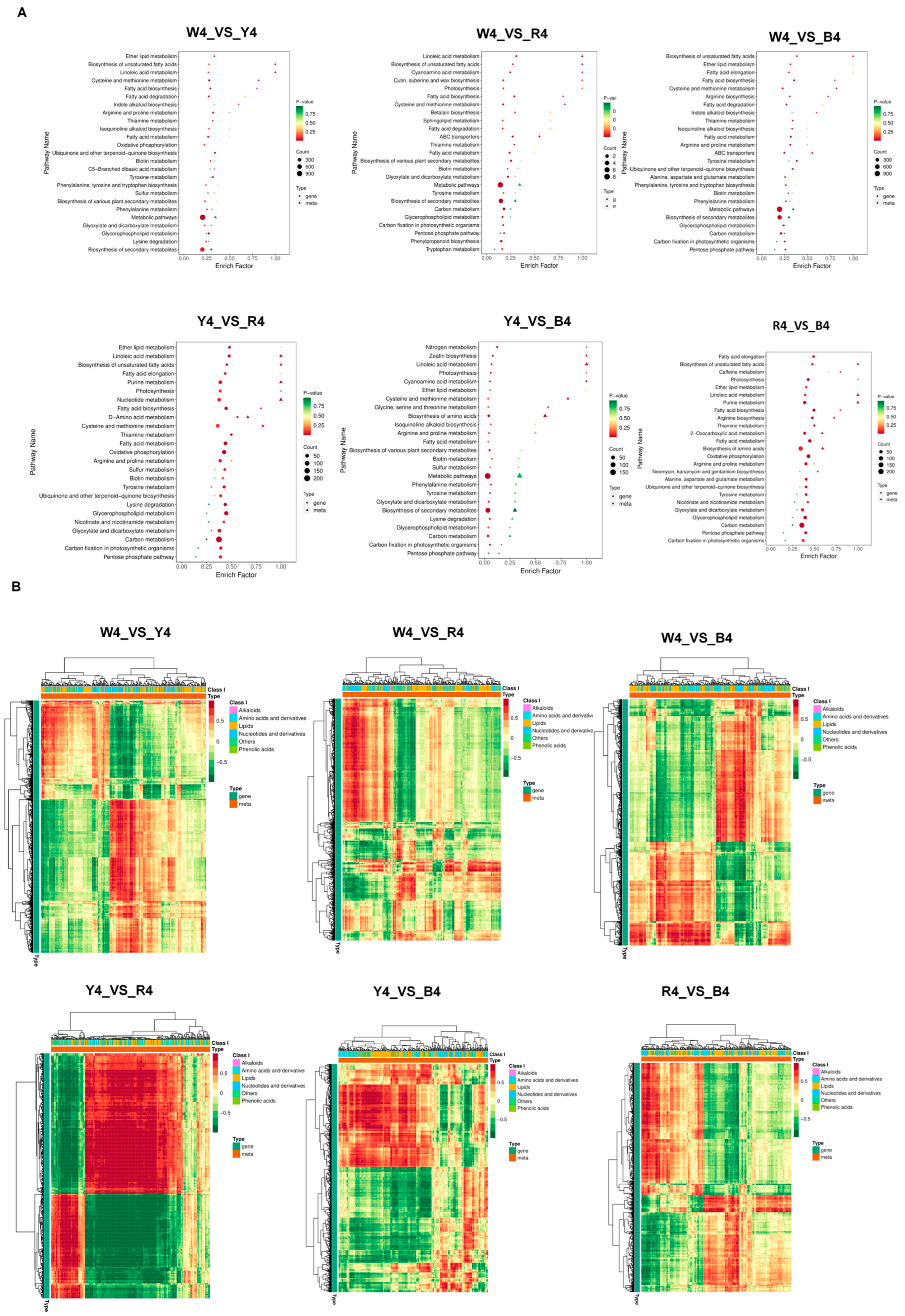 Foods 13 01325 g006 Foods 13 01325 g006