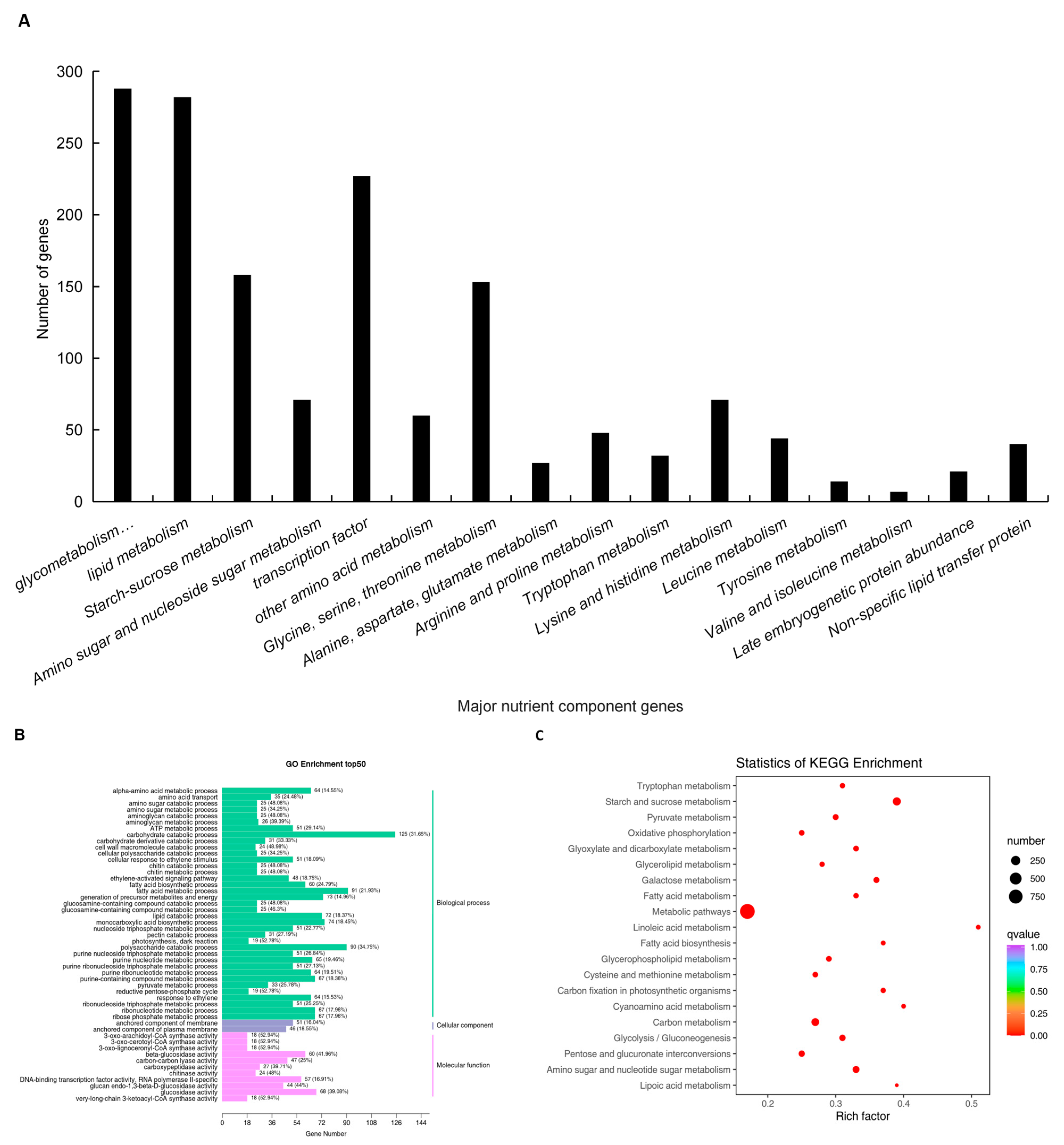 Foods 13 01325 g007 Foods 13 01325 g007