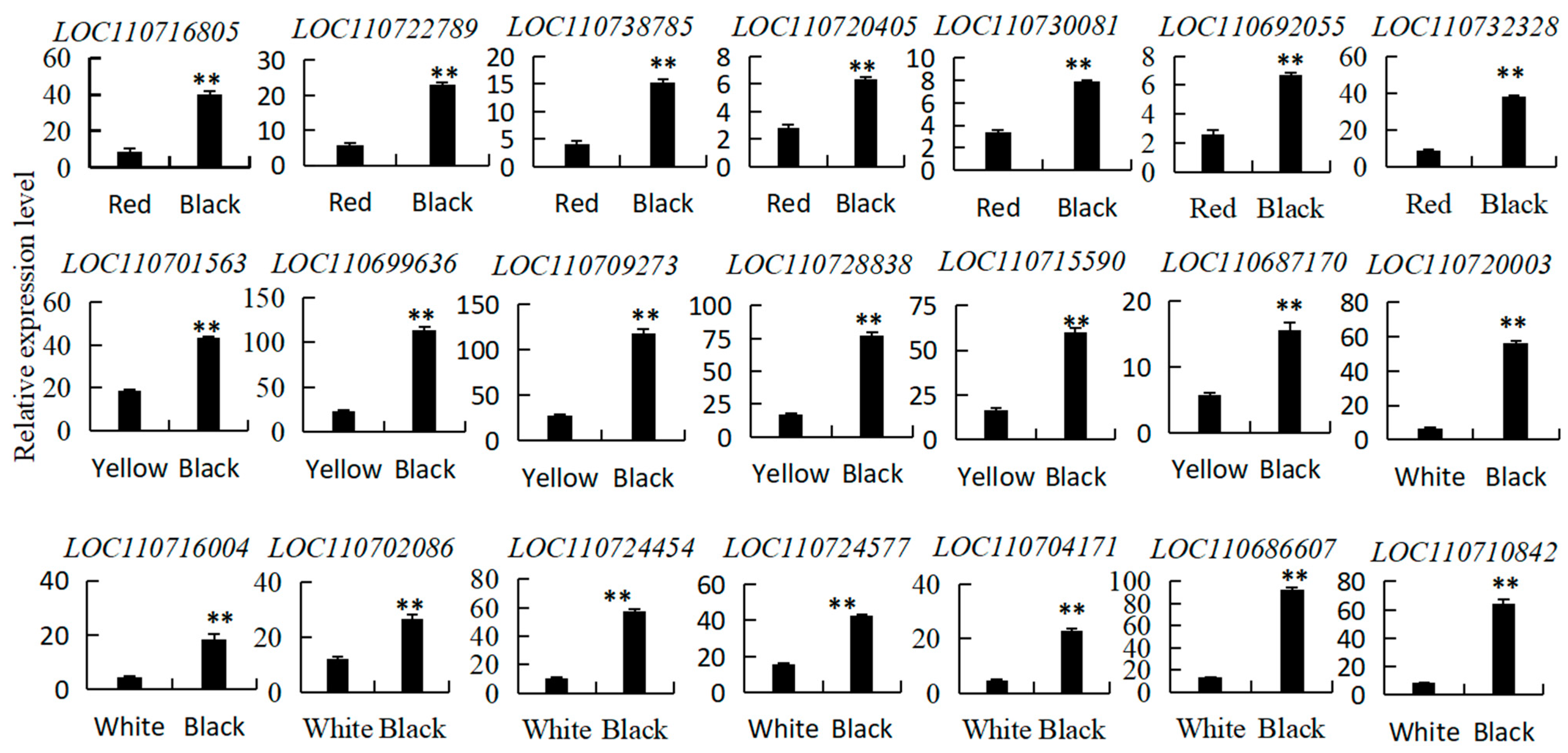 Foods 13 01325 g008 Foods 13 01325 g008