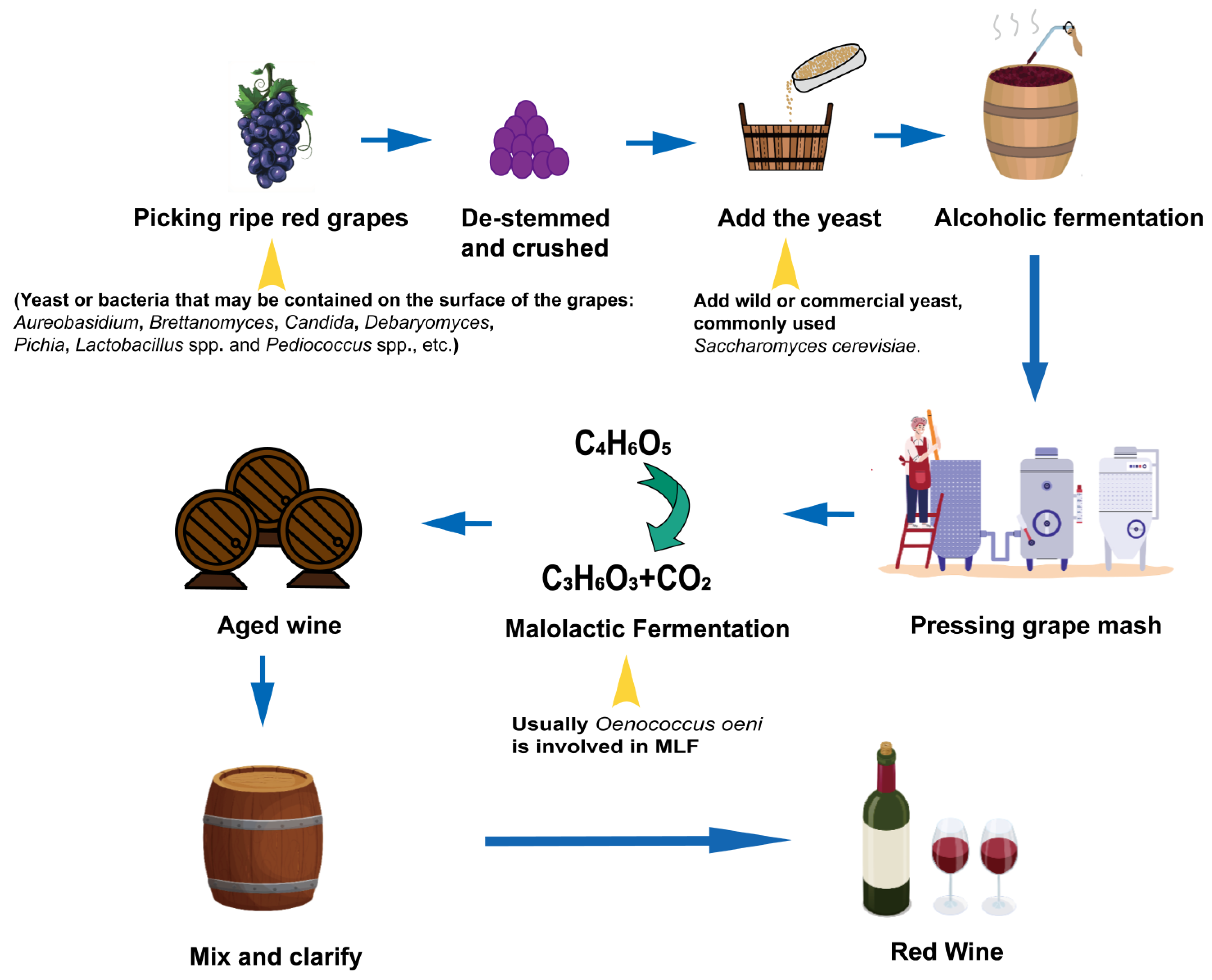 Foods 13 01396 g002