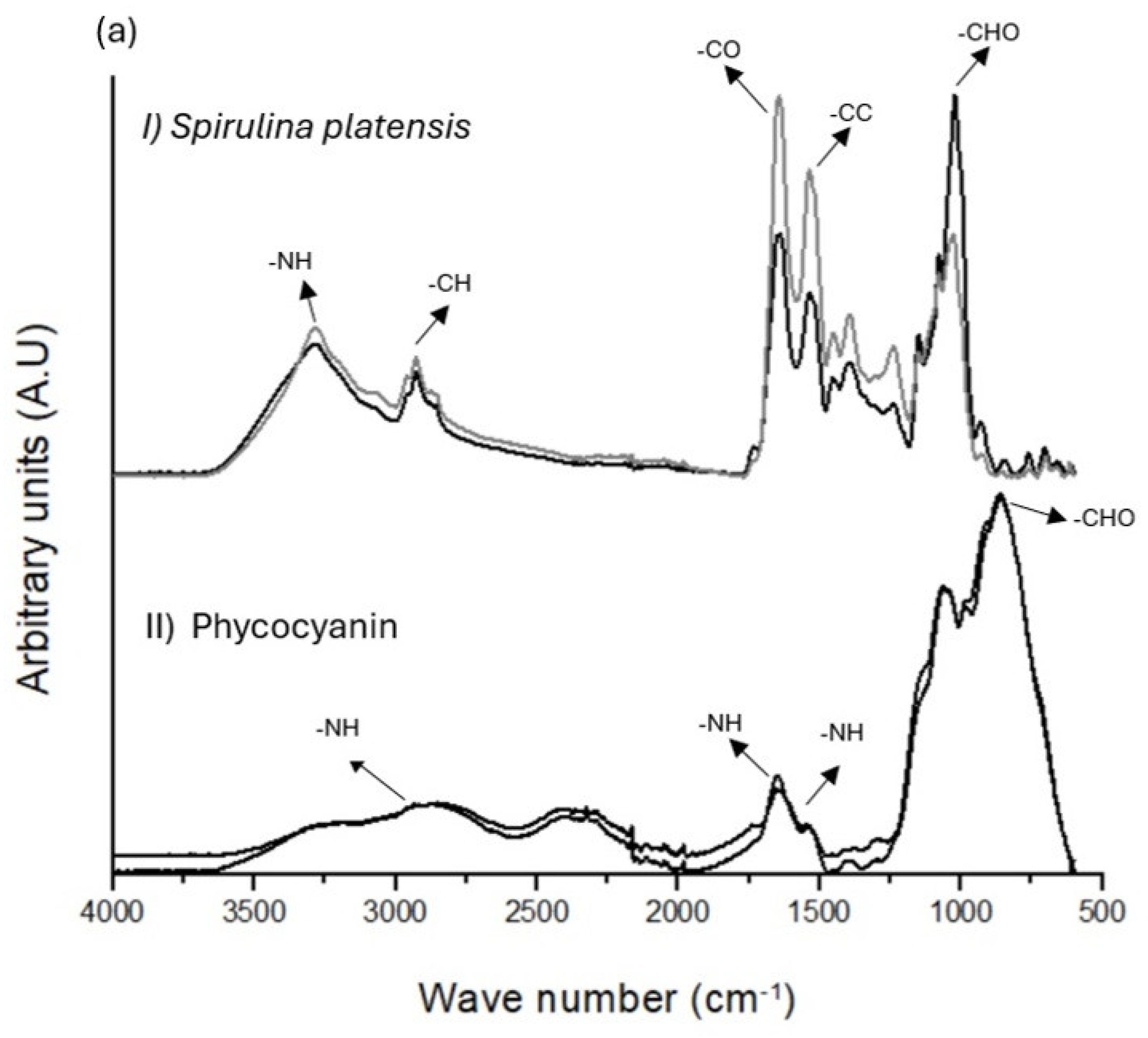Foods 13 01421 g003a
