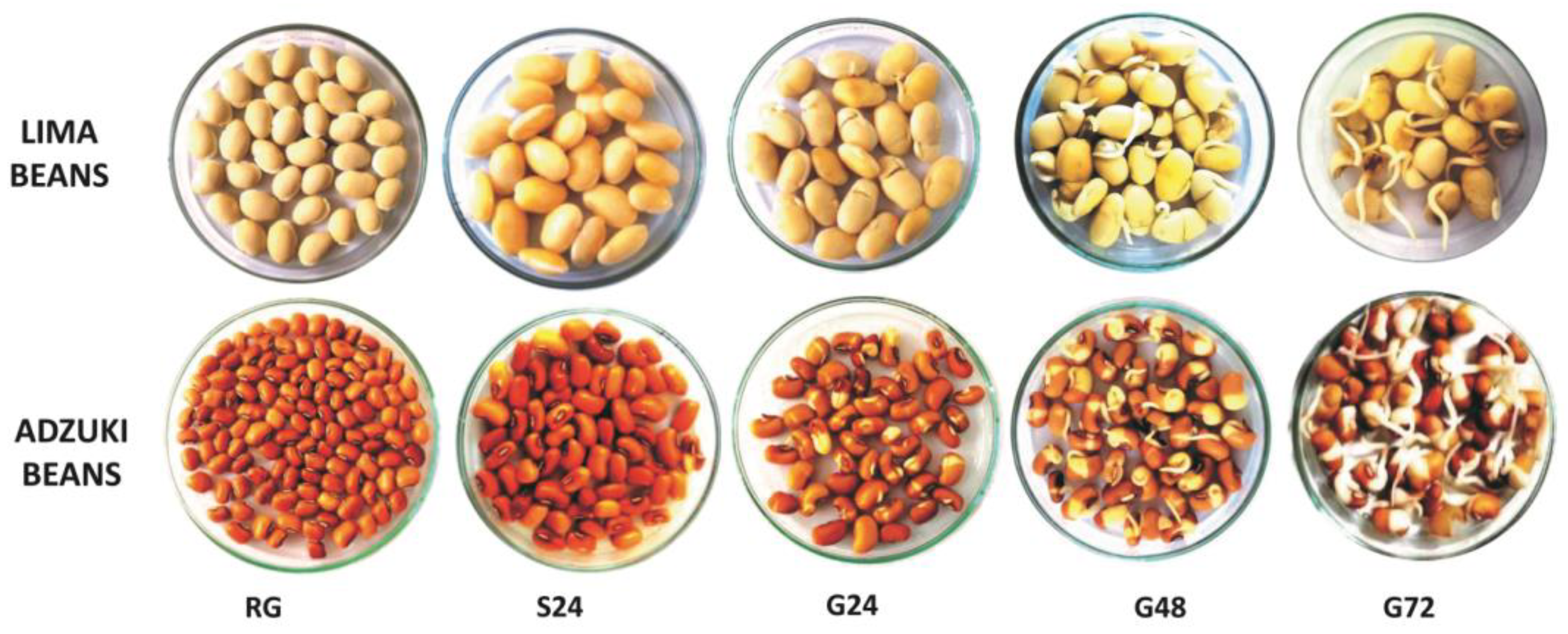 Foods 13 01422 g001 Foods 13 01422 g001