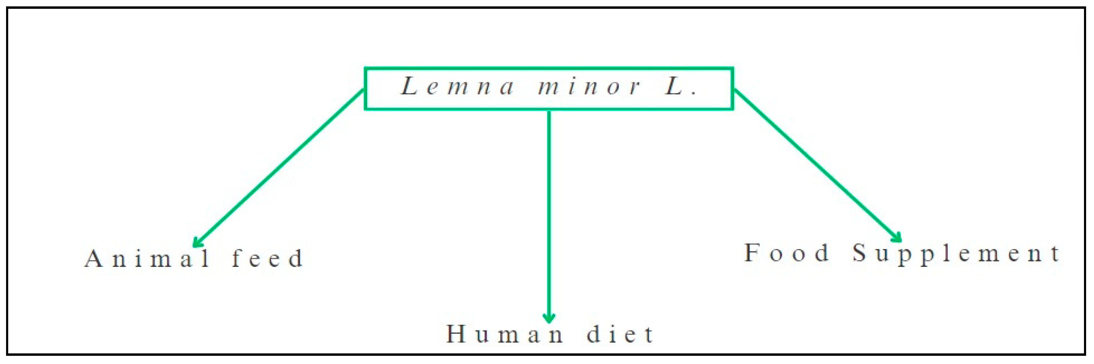 Foods 13 01435 g002