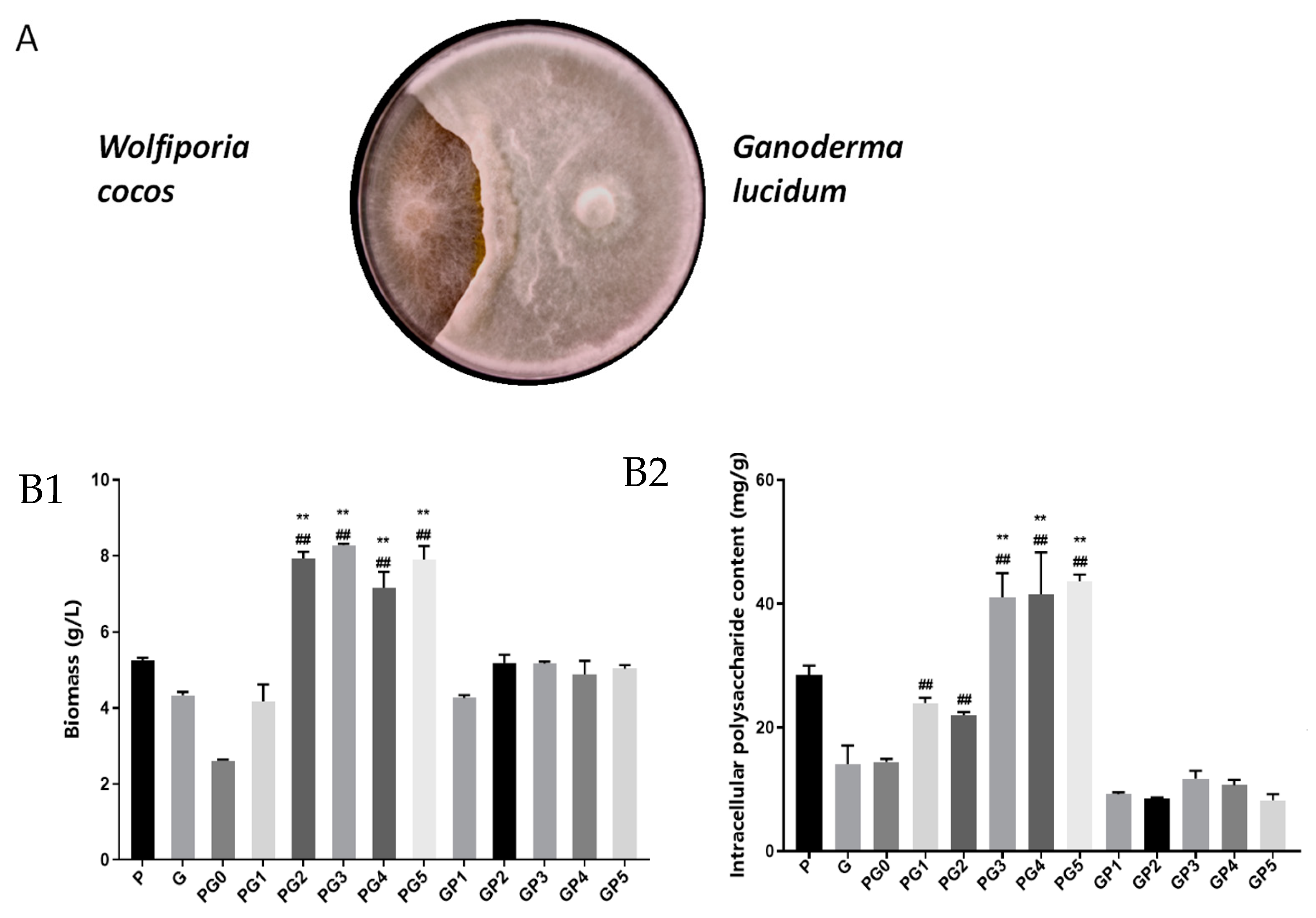 Foods 13 01578 g001a