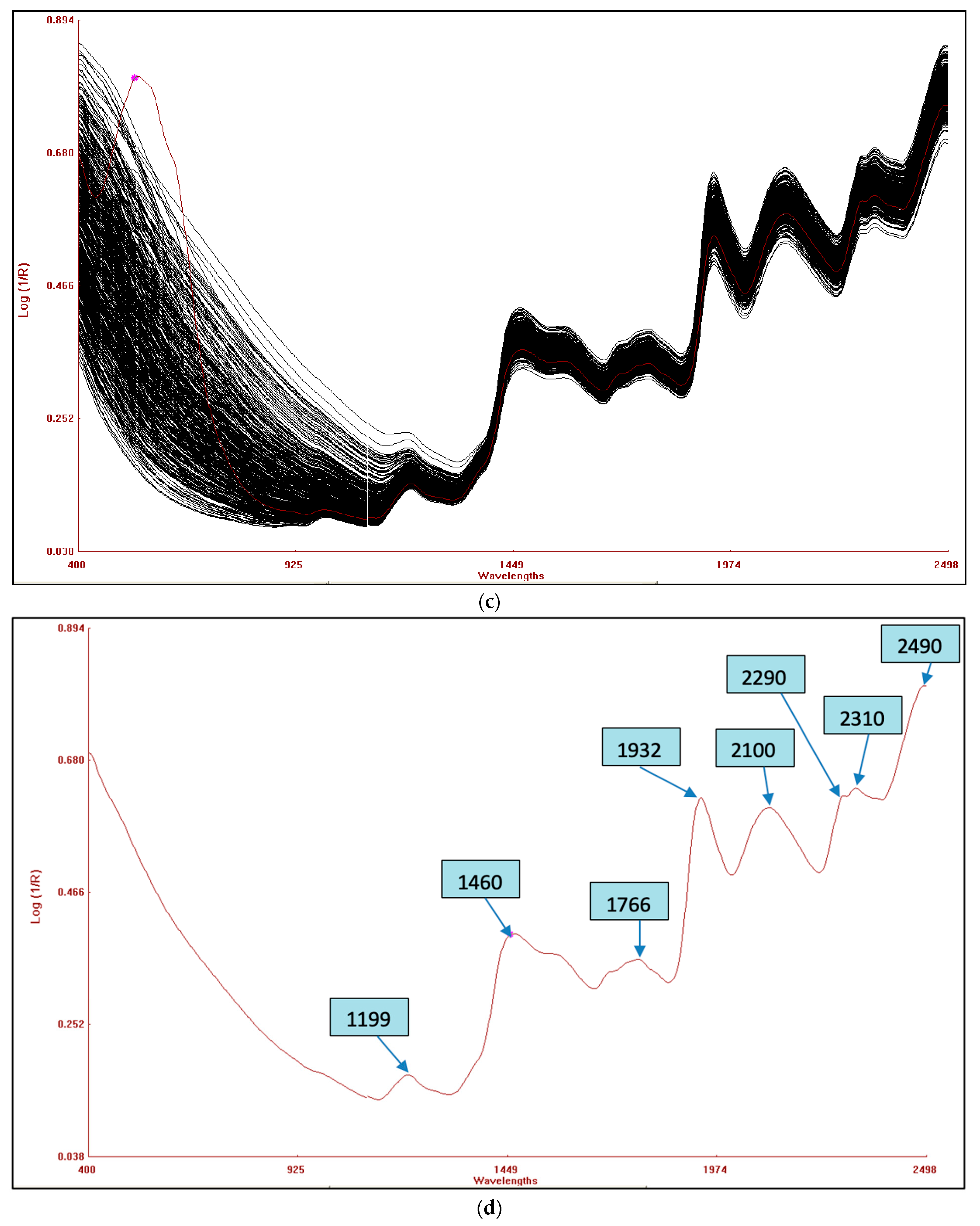 Foods 13 01655 g003b