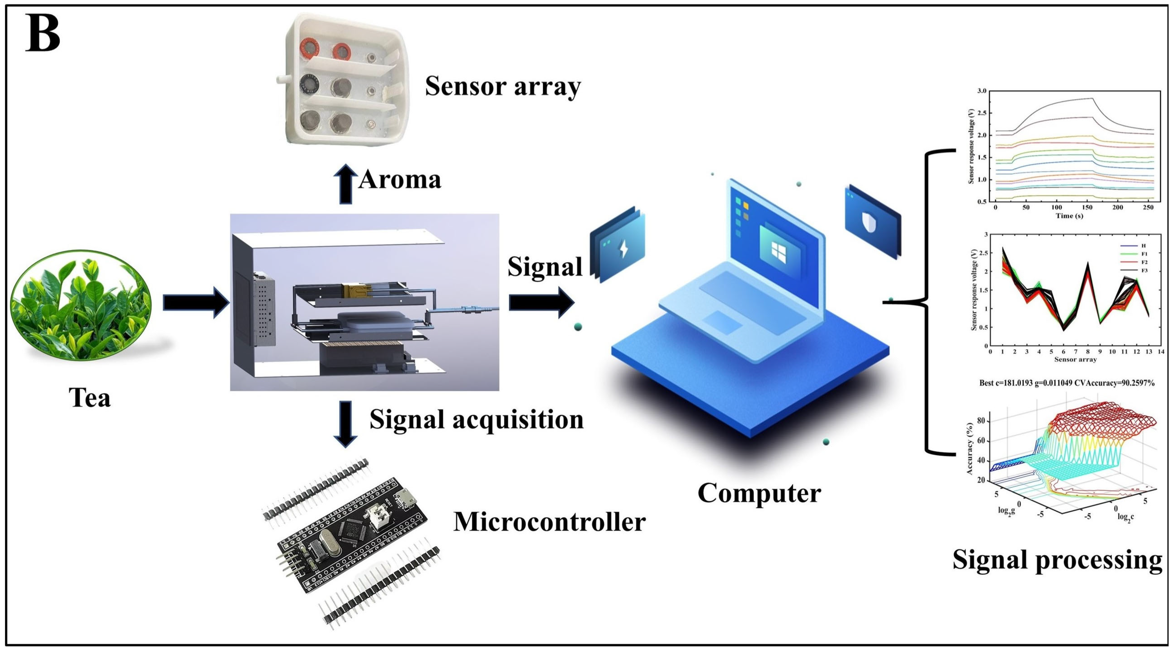 Foods 13 01721 g002b