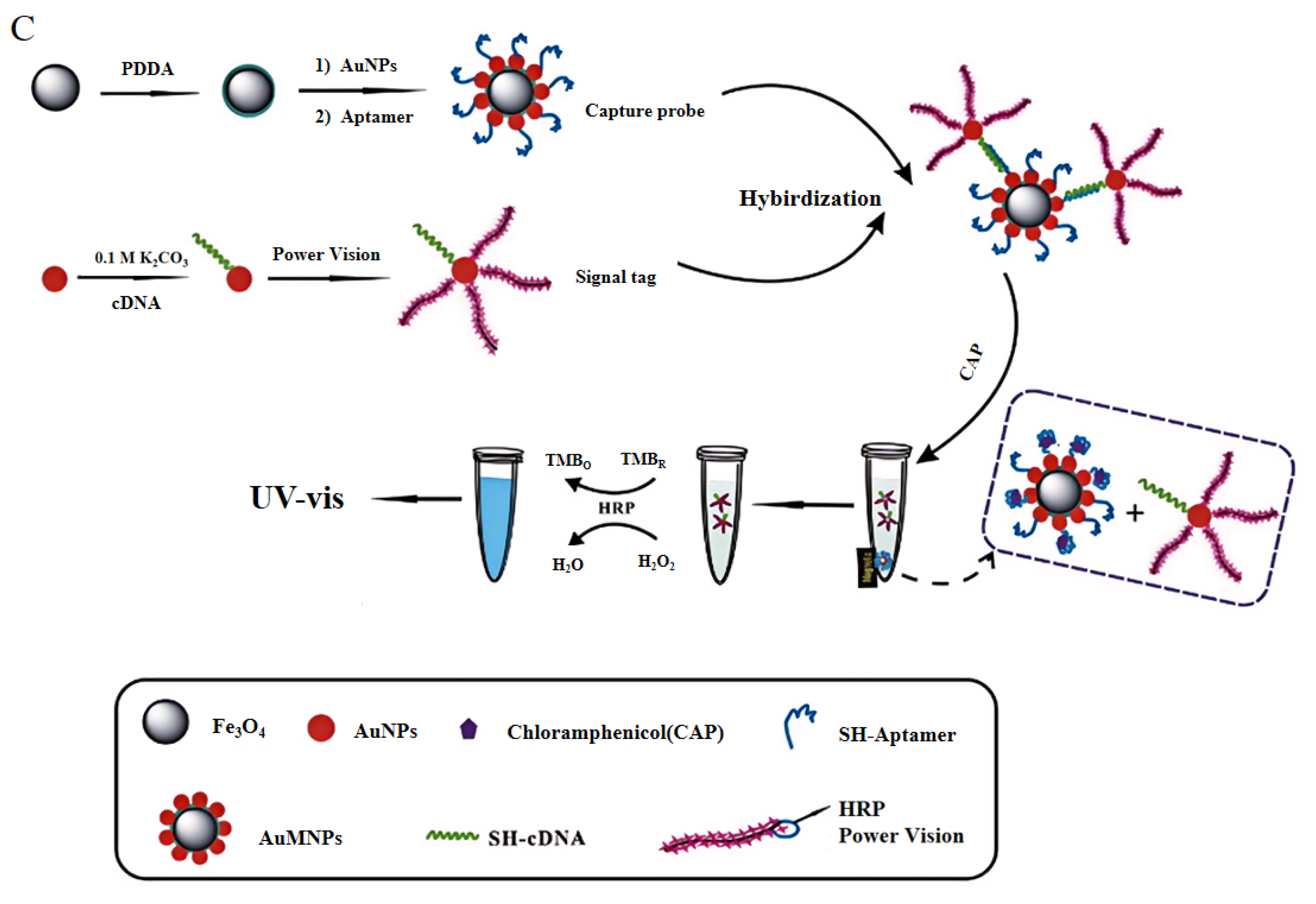 Foods 13 01749 g003b