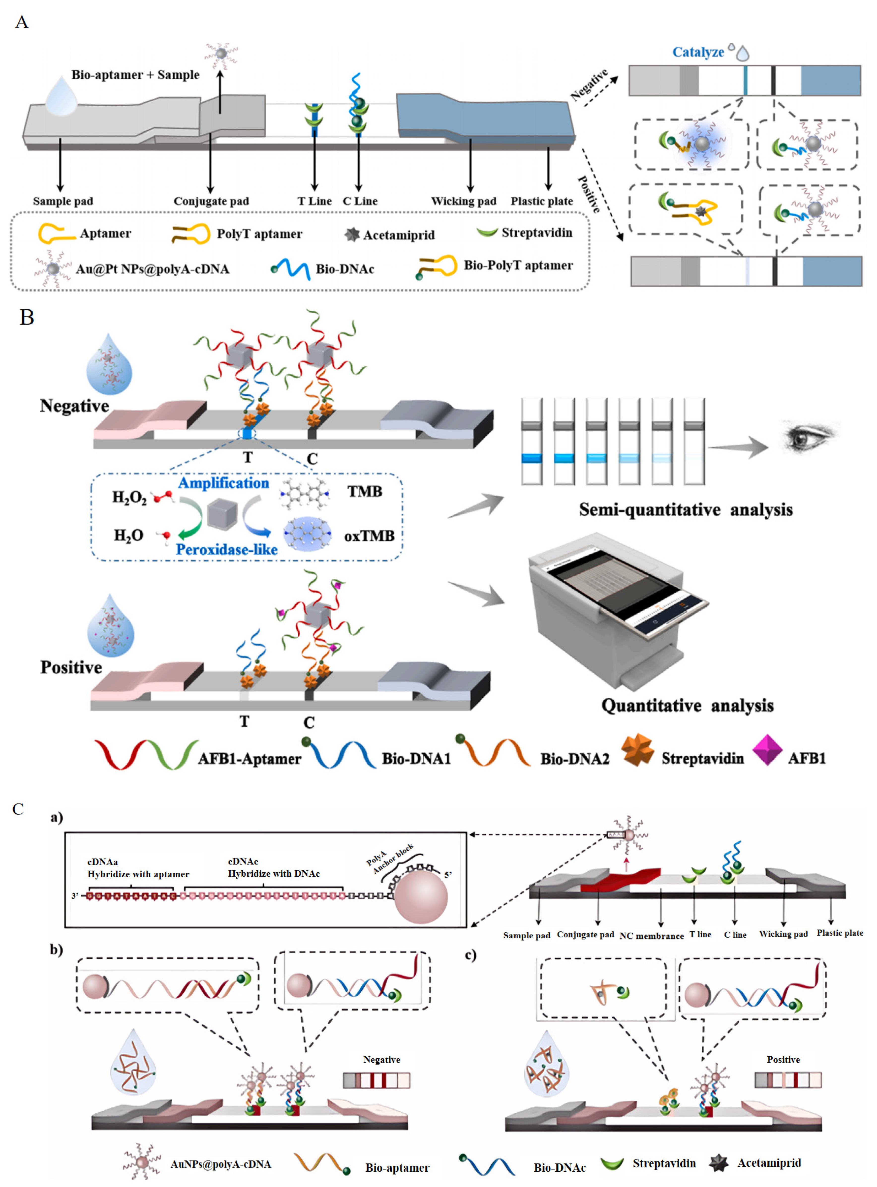 Foods 13 01749 g006a