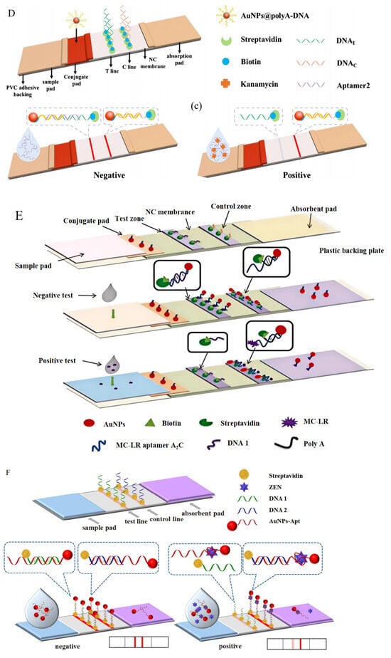 Foods 13 01749 g006b