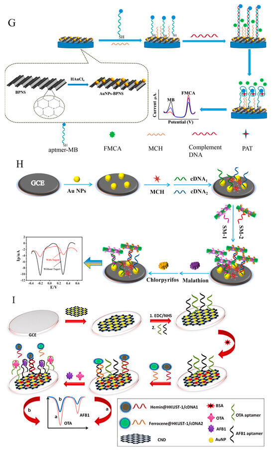 Foods 13 01749 g008c