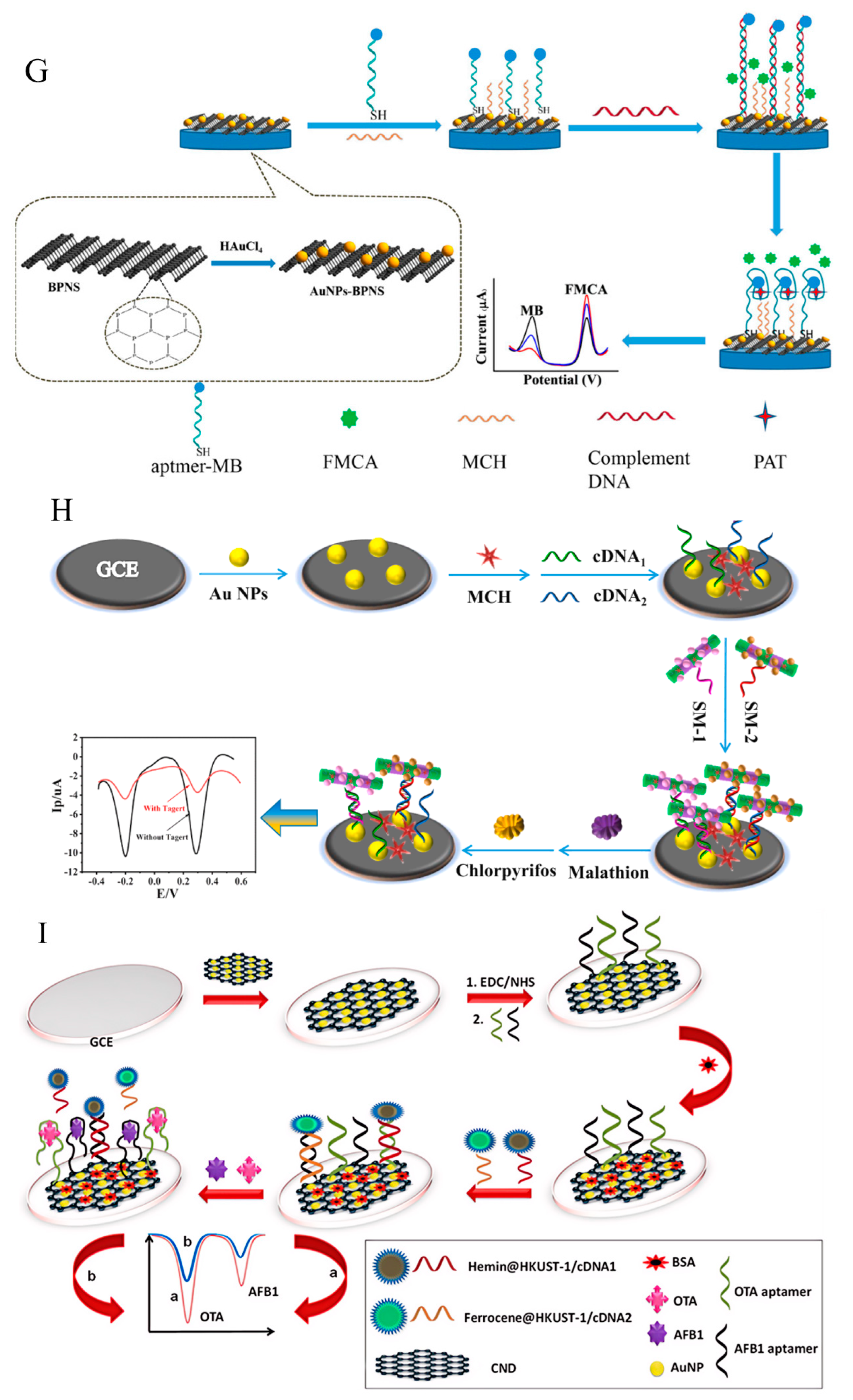 Foods 13 01749 g008c