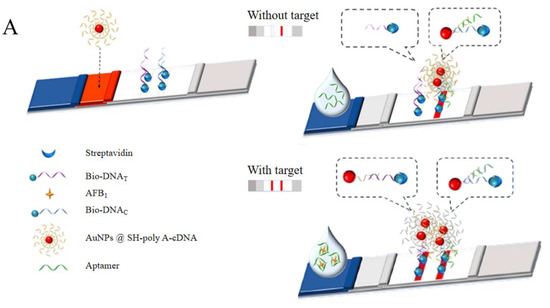 Foods 13 01749 g009a