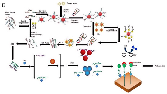 Foods 13 01749 g009c