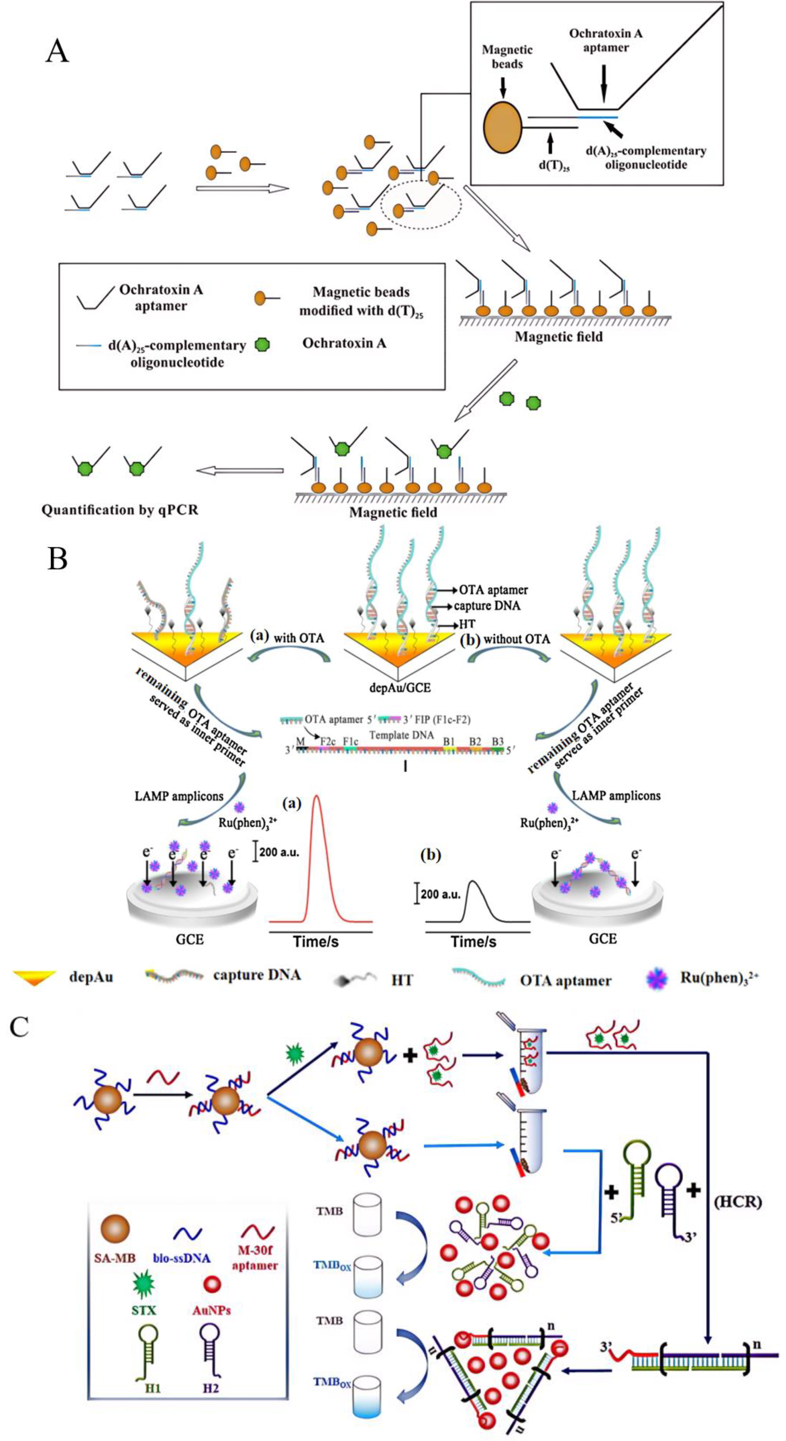 Foods 13 01749 g011a