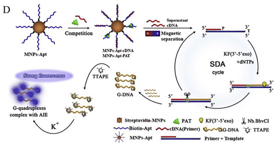 Foods 13 01749 g011b