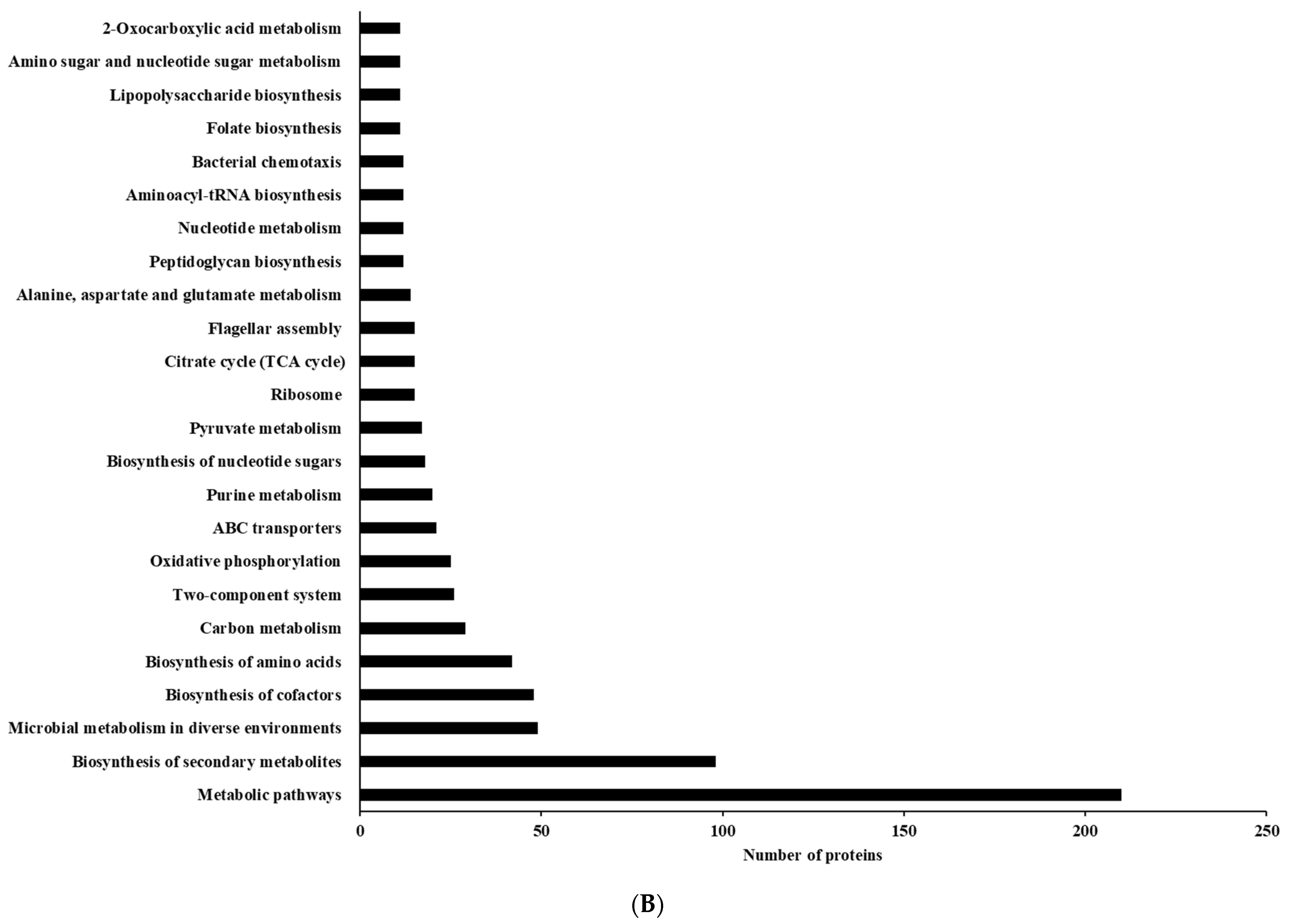 Foods 13 01828 g010b