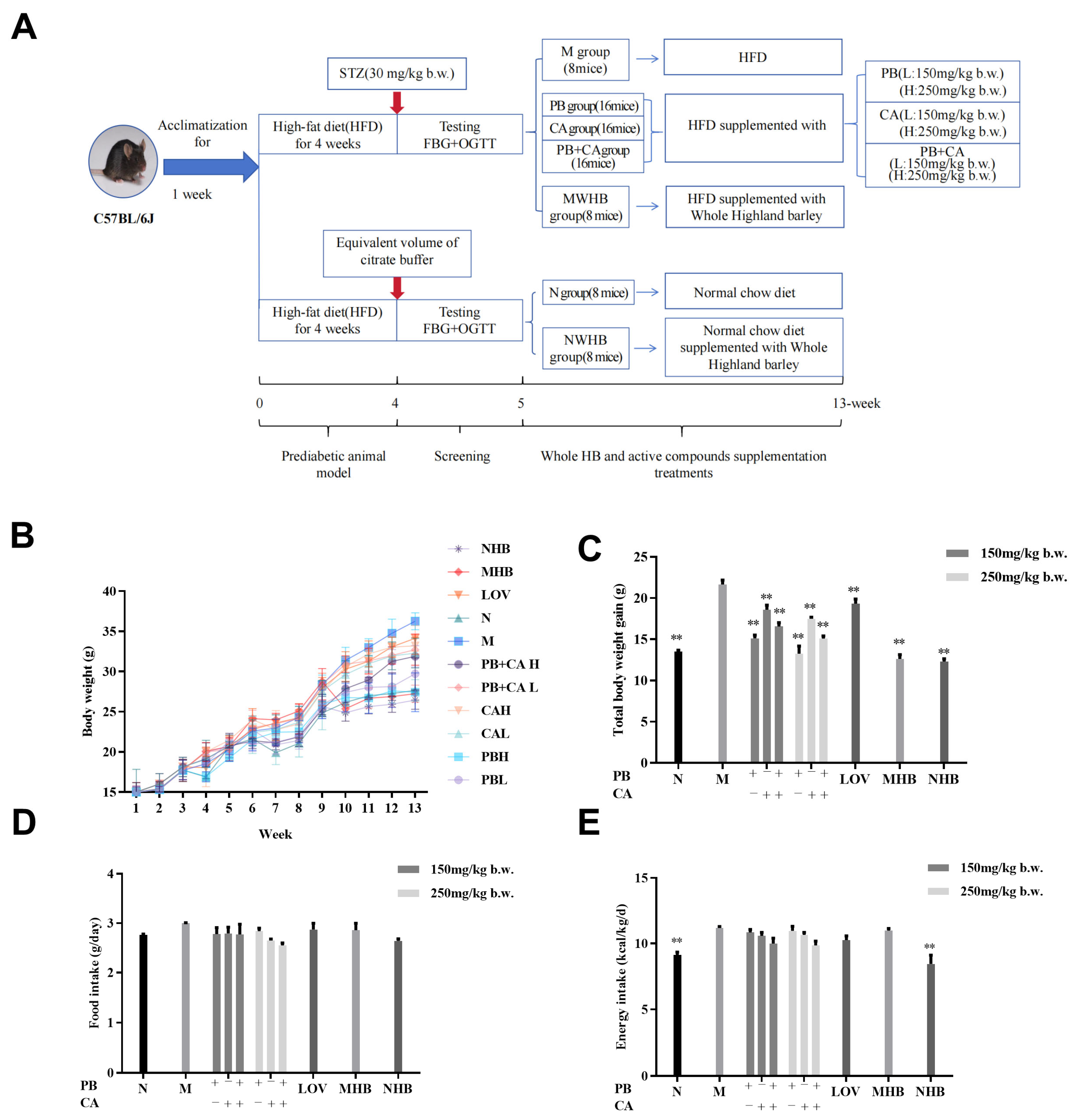 Foods 13 01843 g001 Foods 13 01843 g001