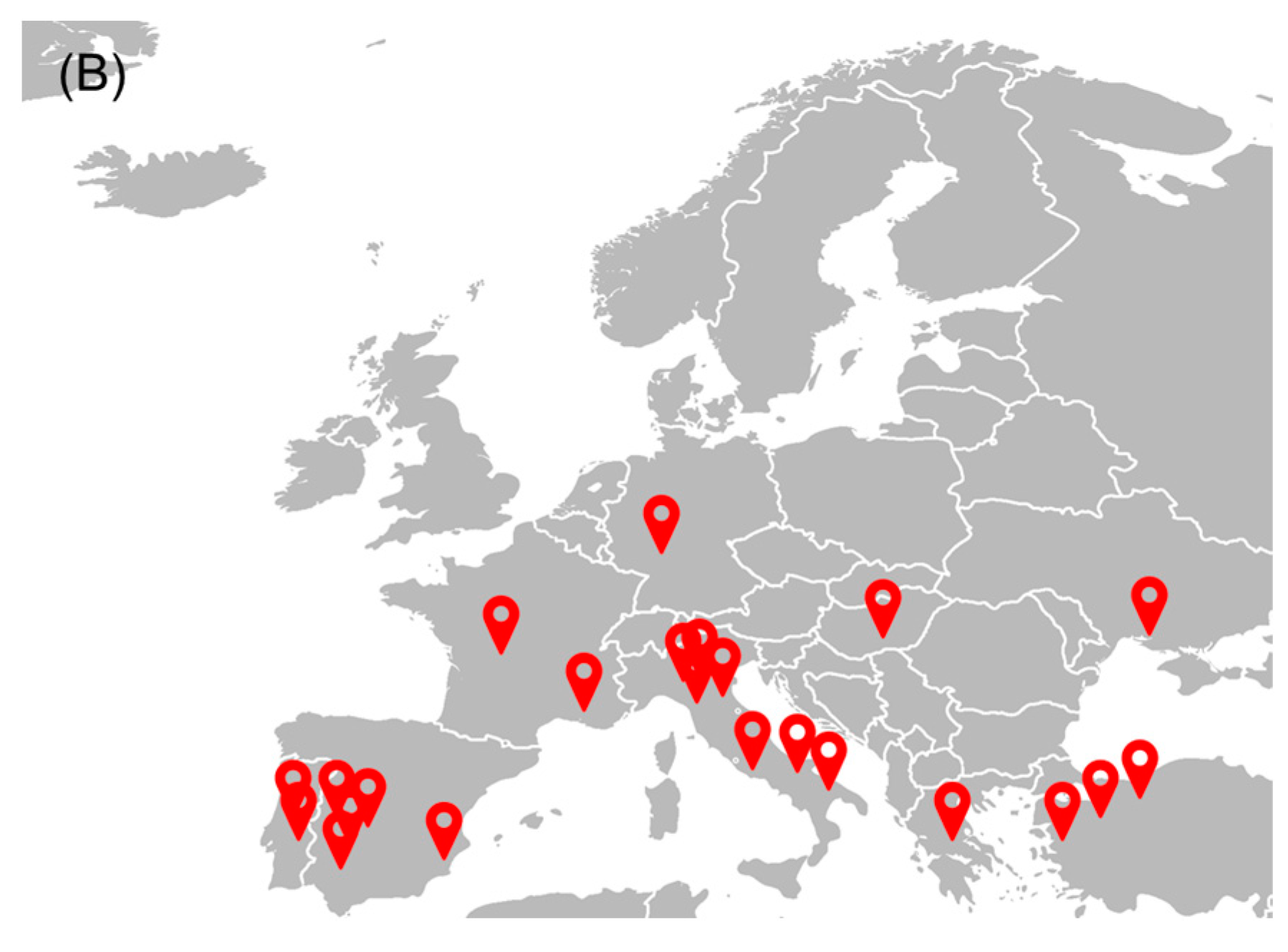 Foods 13 01873 g001b