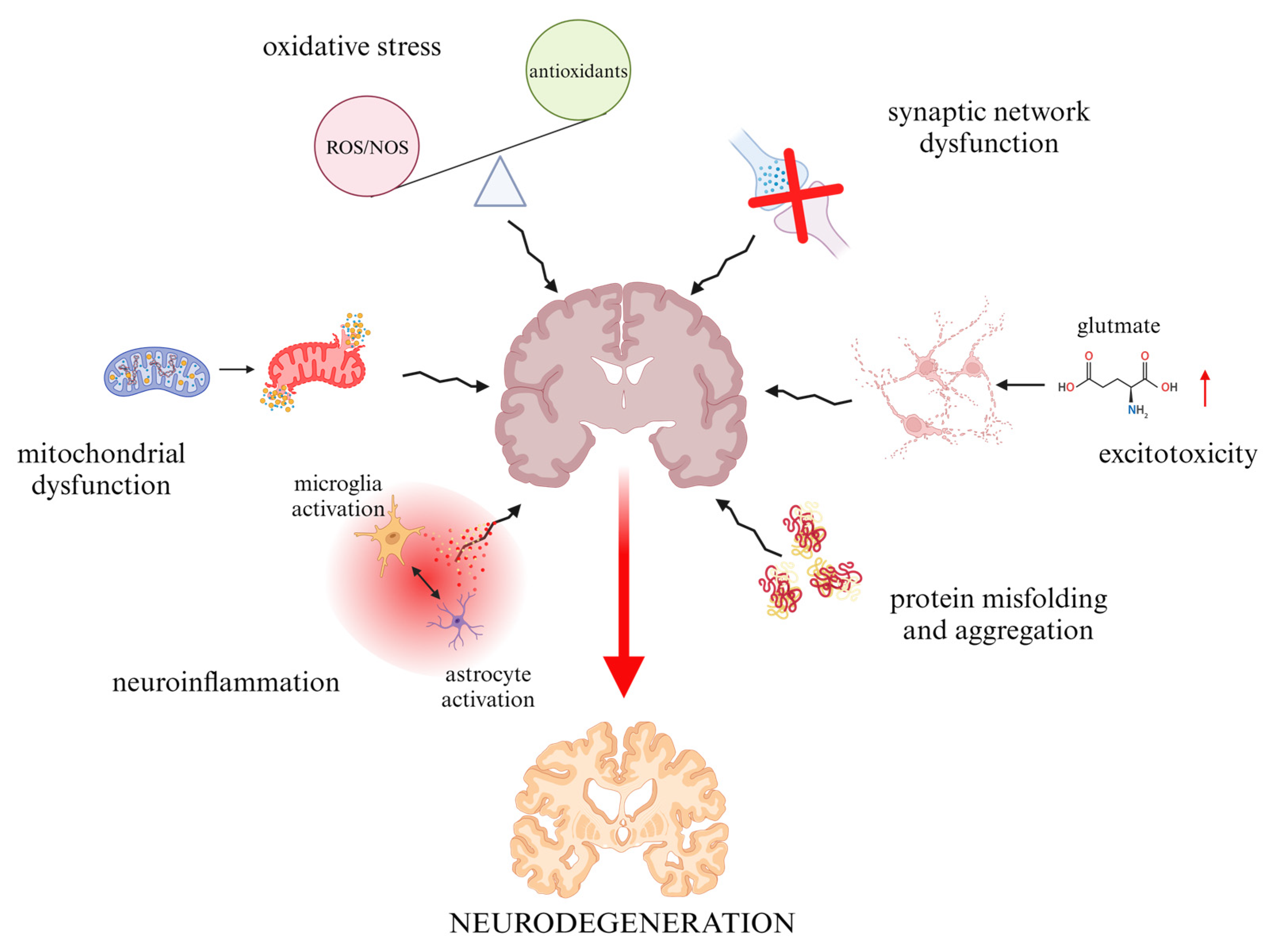 Foods 13 01931 g001 Foods 13 01931 g001