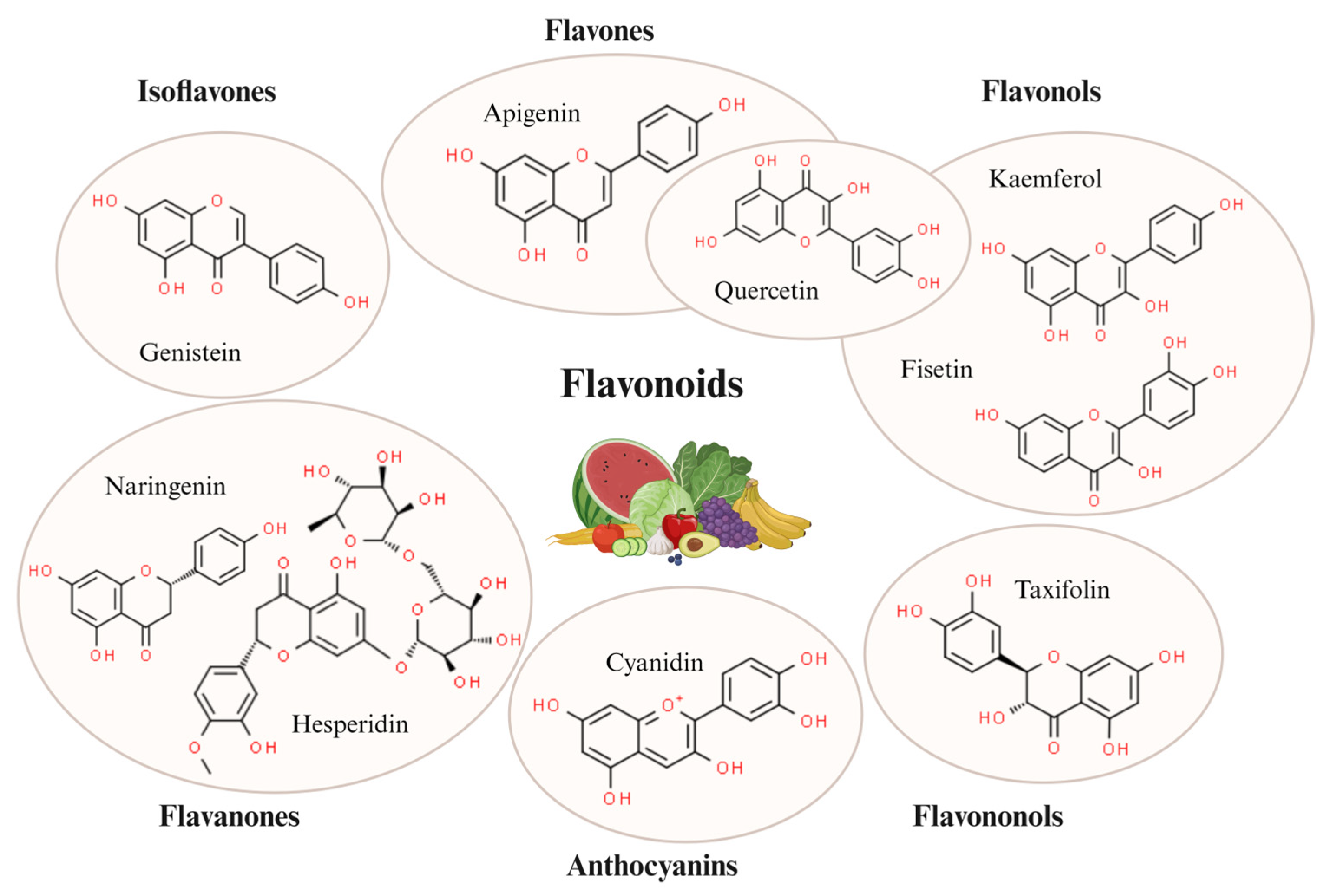 Foods 13 01931 g002 Foods 13 01931 g002