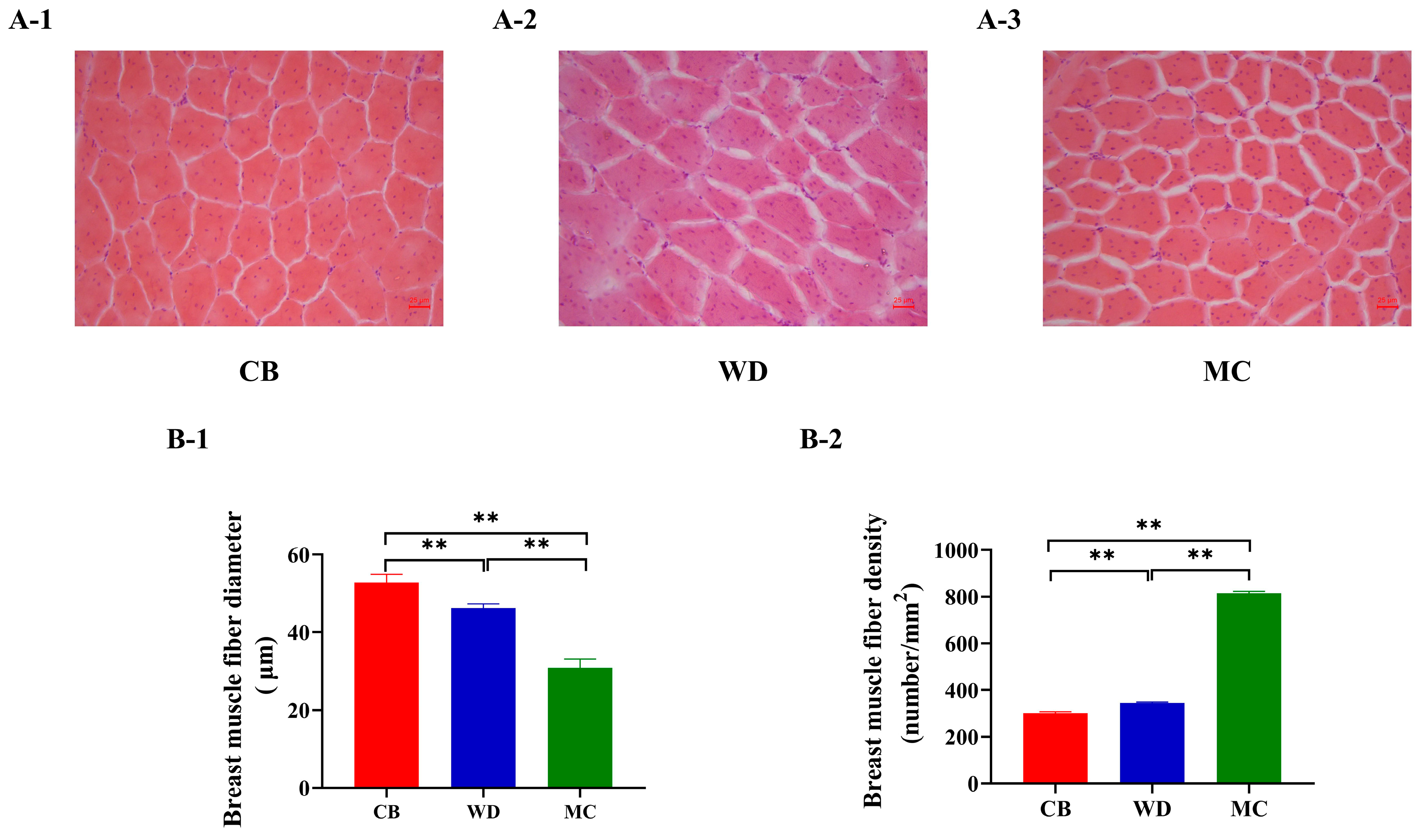 Foods 13 02008 g003 Foods 13 02008 g003