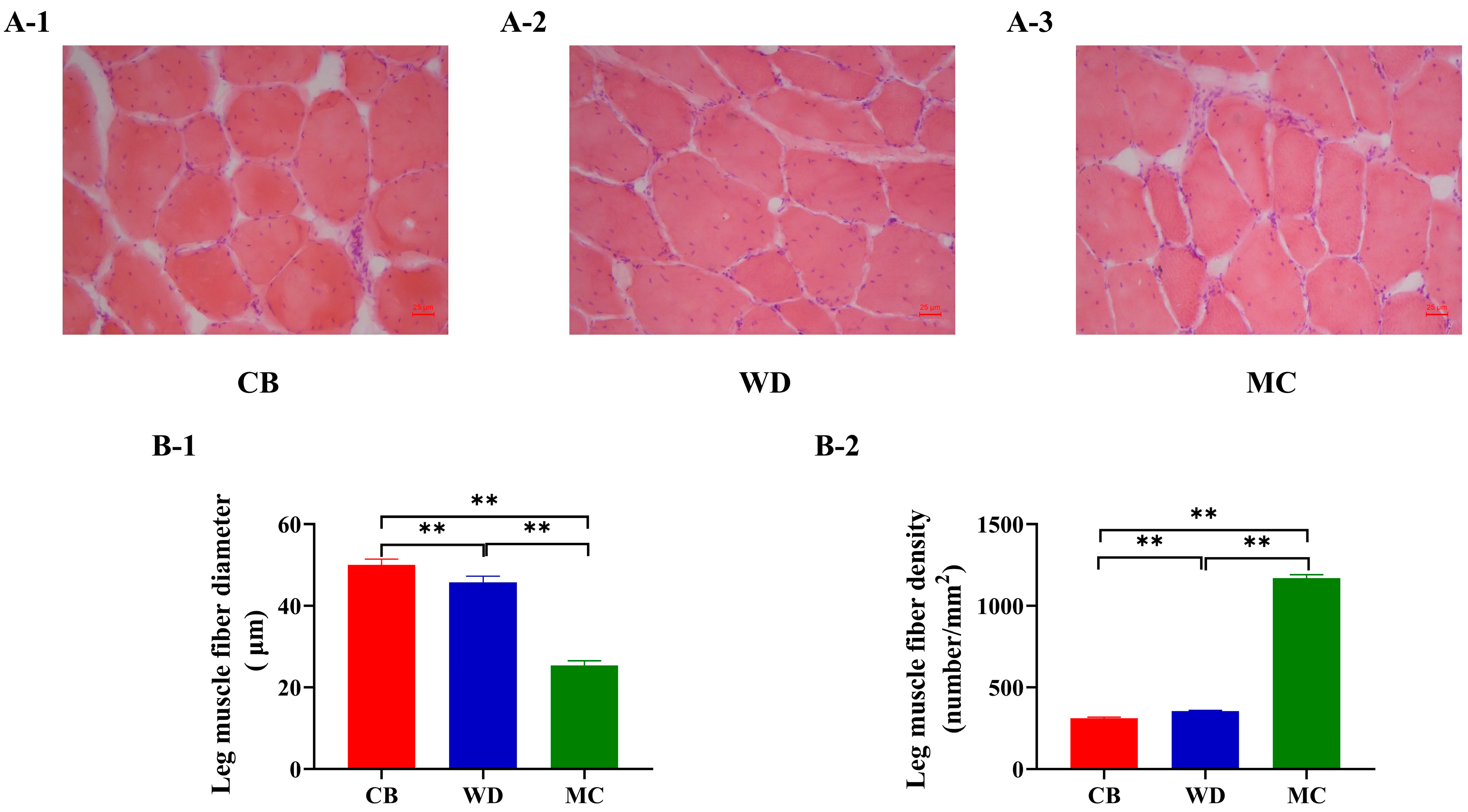 Foods 13 02008 g004 Foods 13 02008 g004