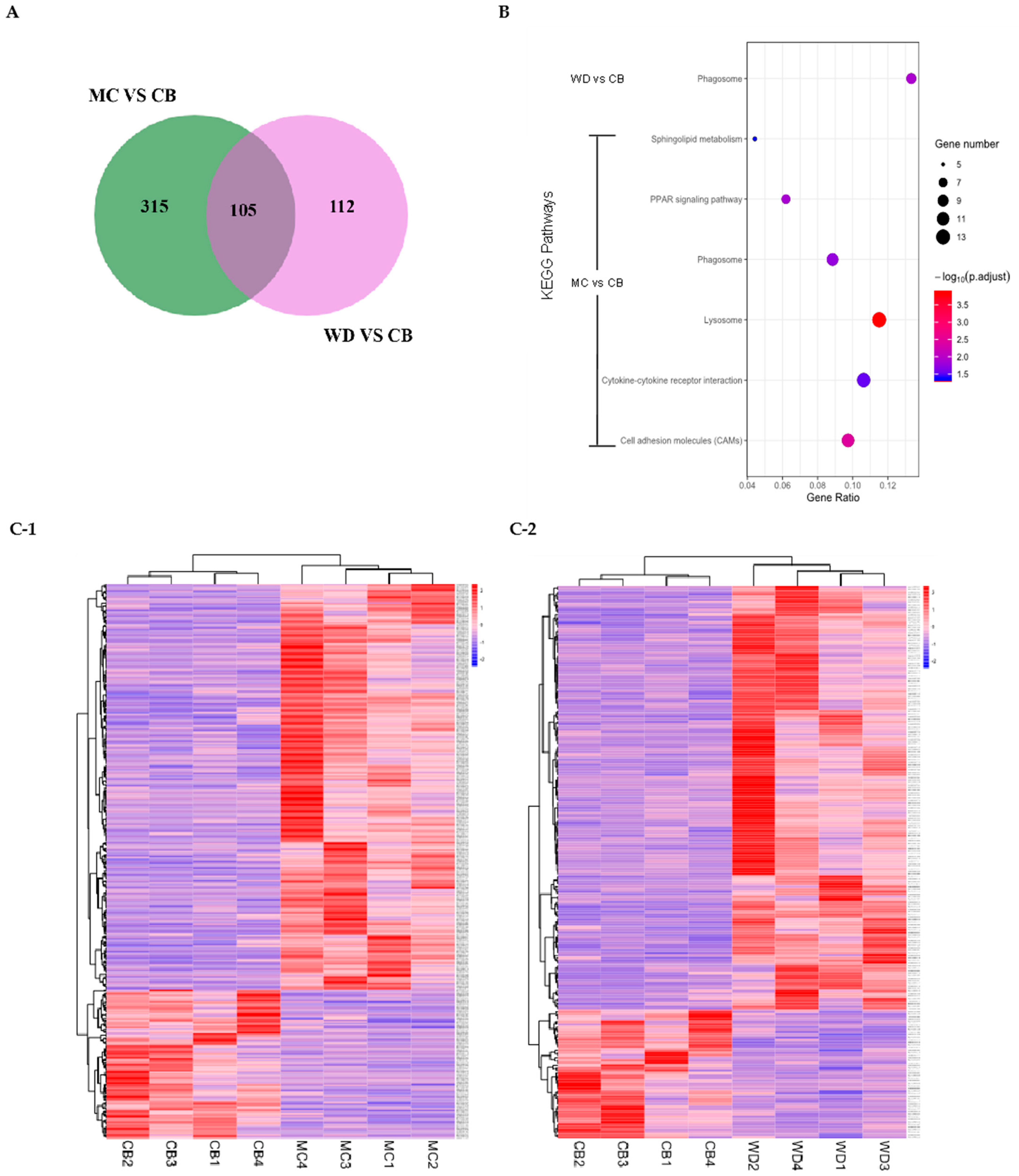 Foods 13 02008 g005 Foods 13 02008 g005