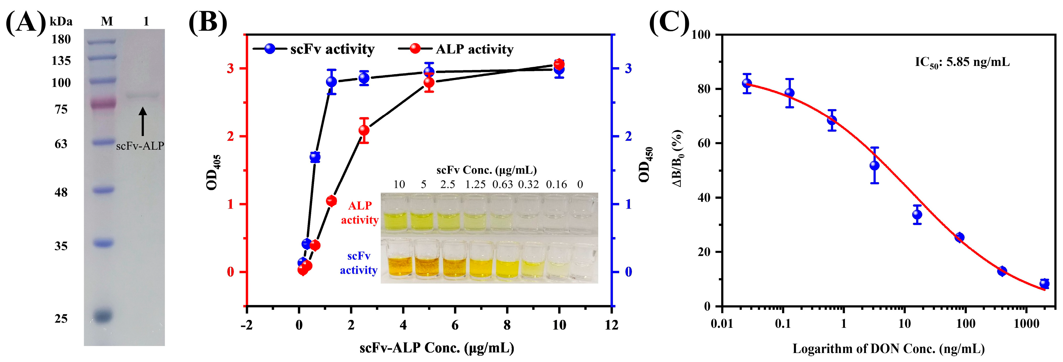 Foods 13 02009 g001 Foods 13 02009 g001