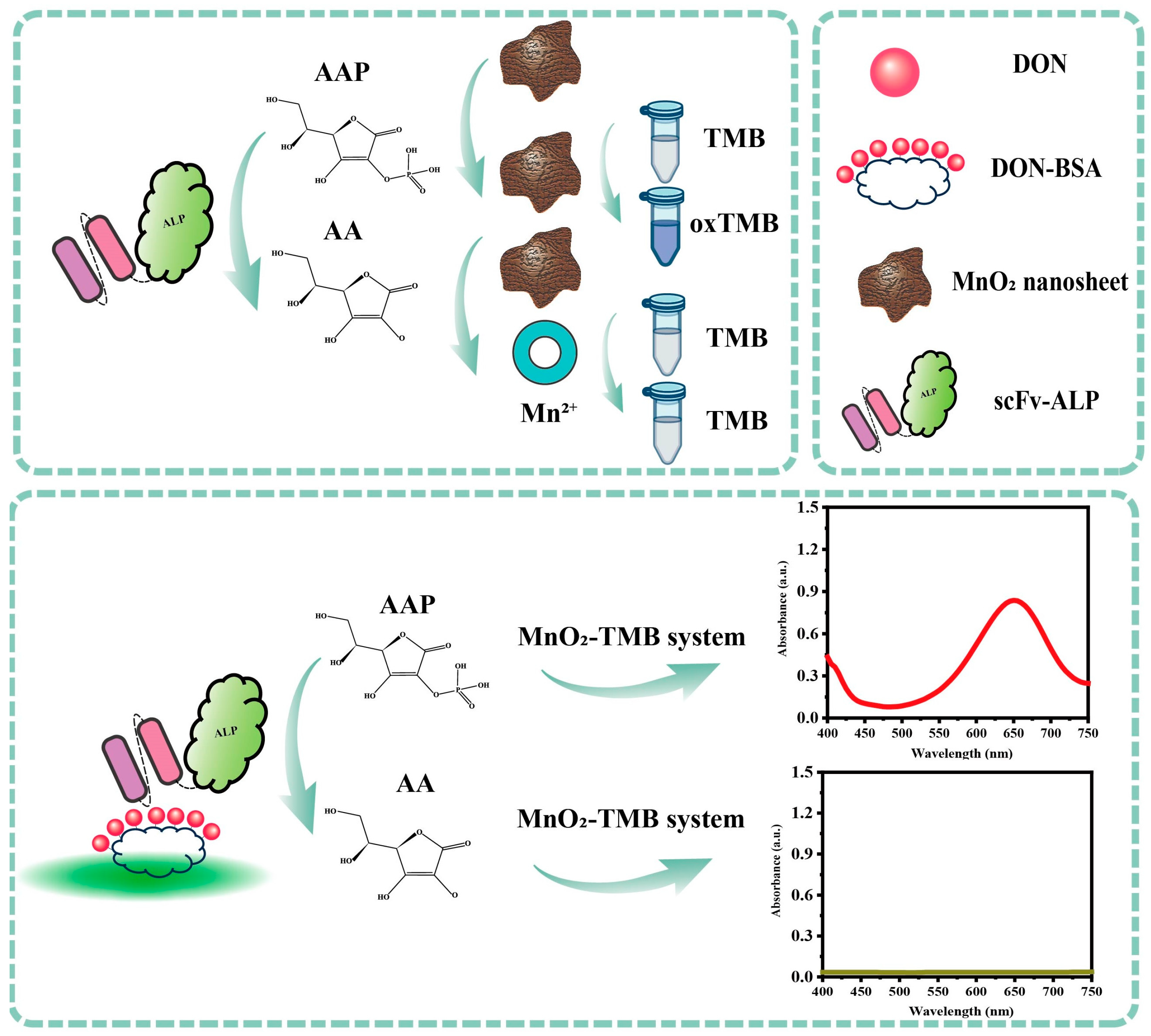 Foods 13 02009 sch001 Foods 13 02009 sch001
