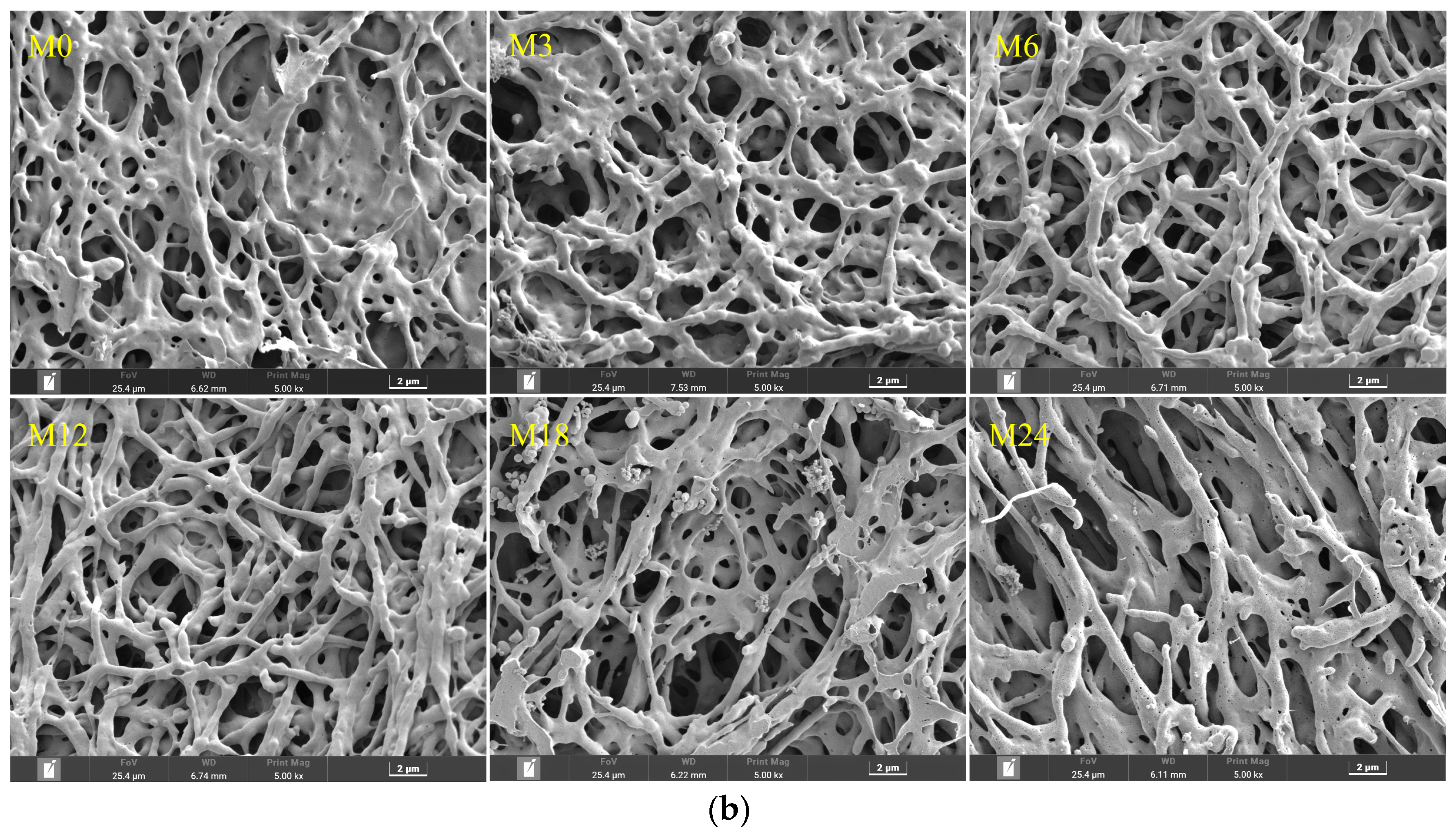 Foods 13 02040 g009b