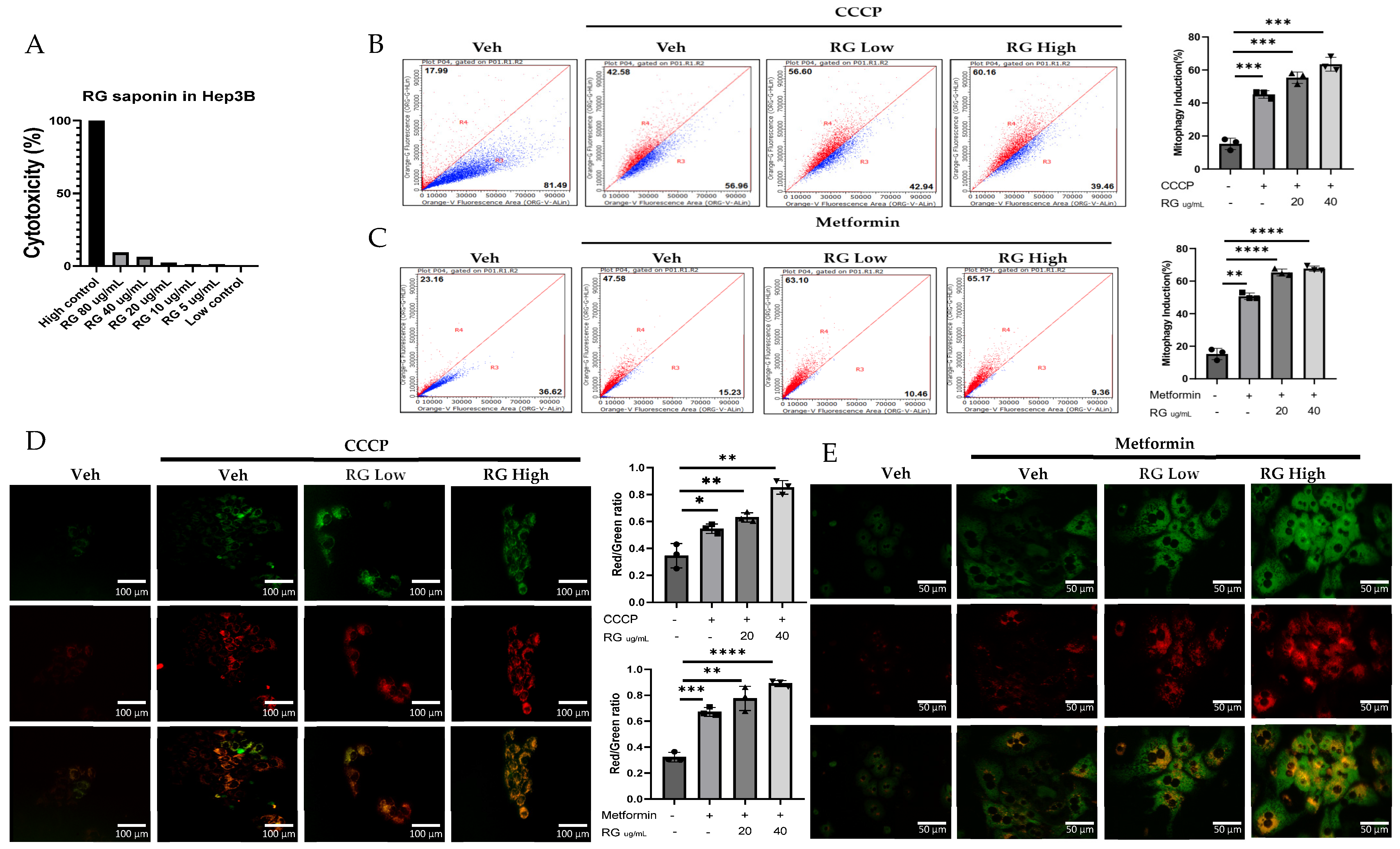 Foods 13 02137 g001a