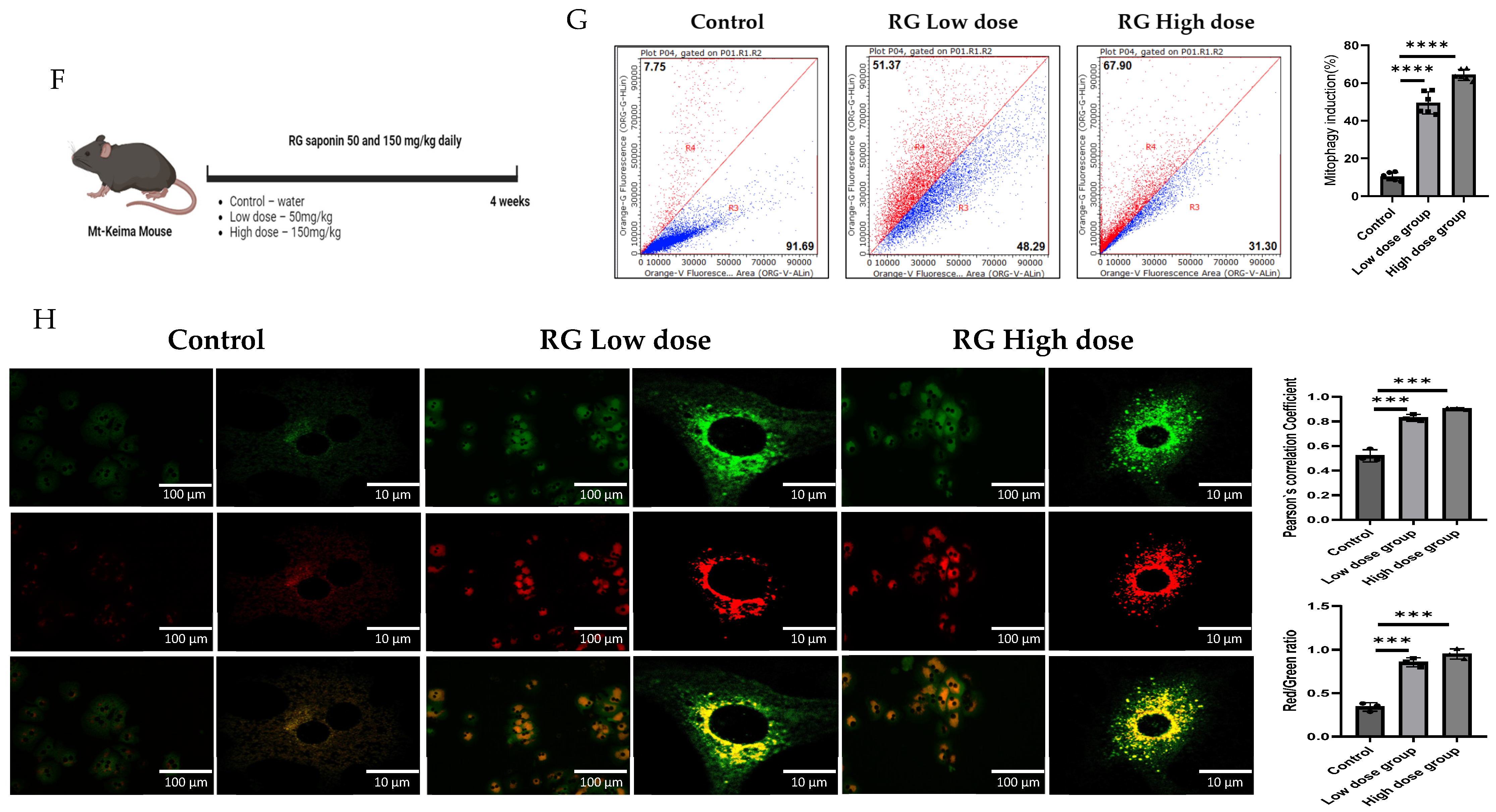 Foods 13 02137 g001b
