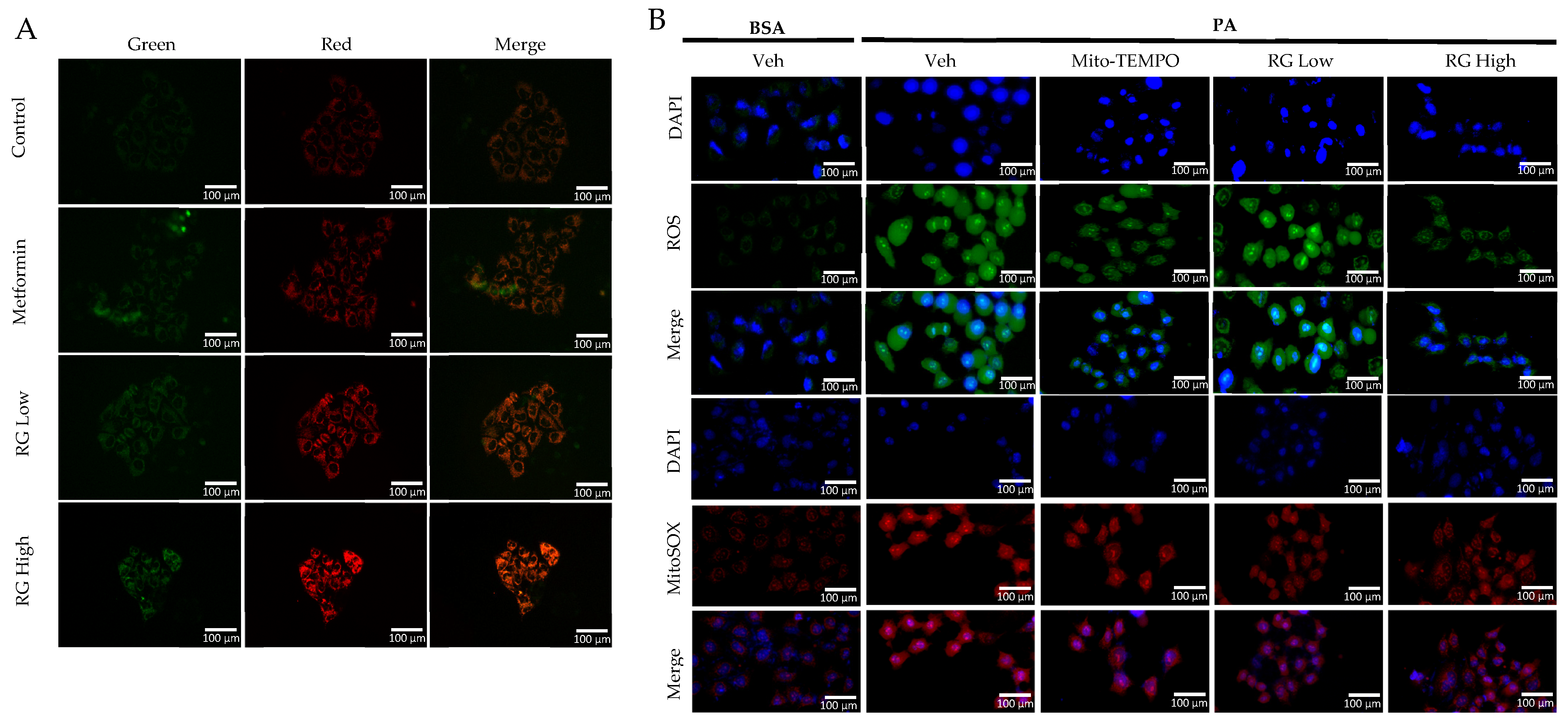 Foods 13 02137 g003a