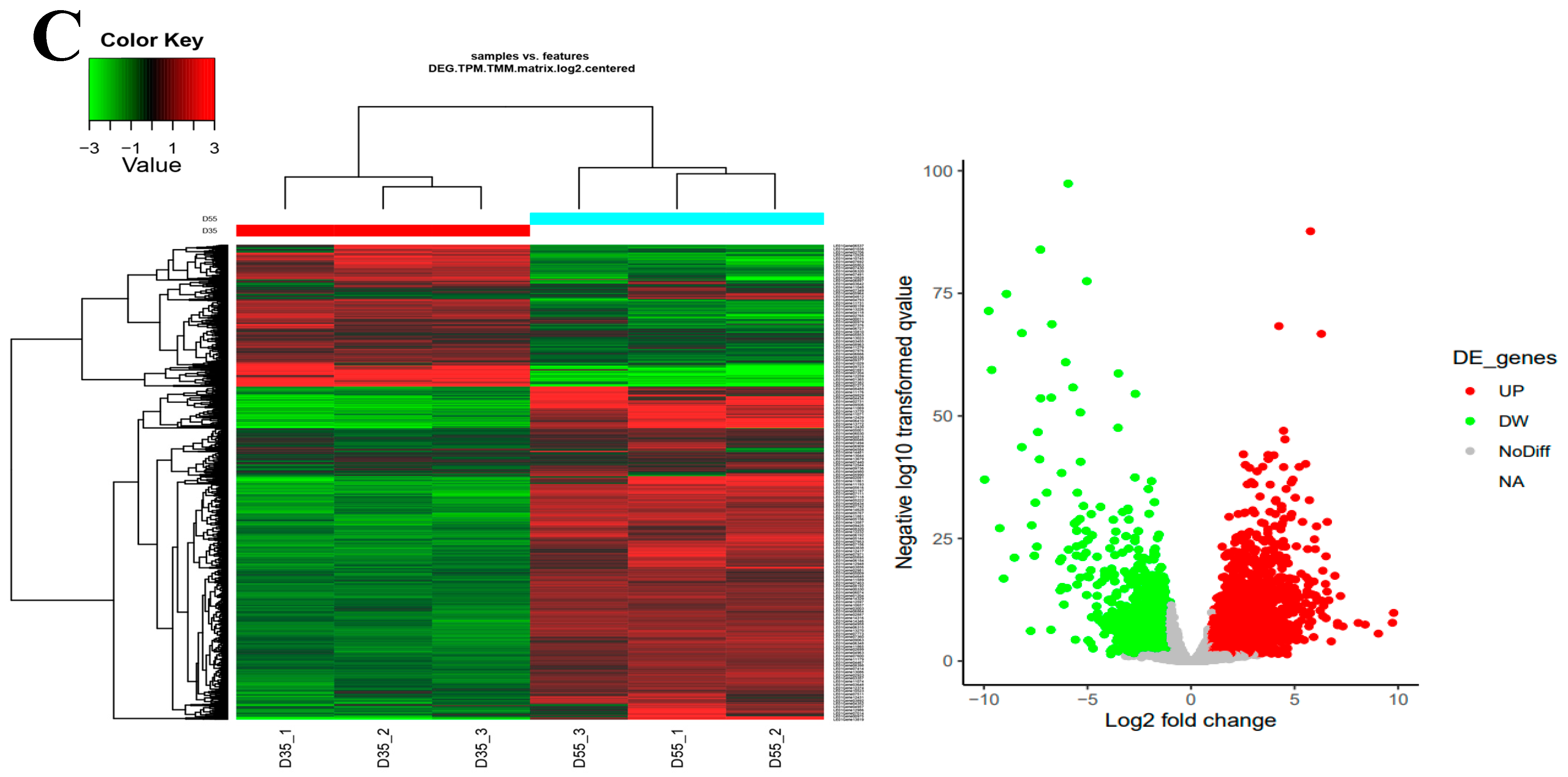 Foods 13 02179 g004b
