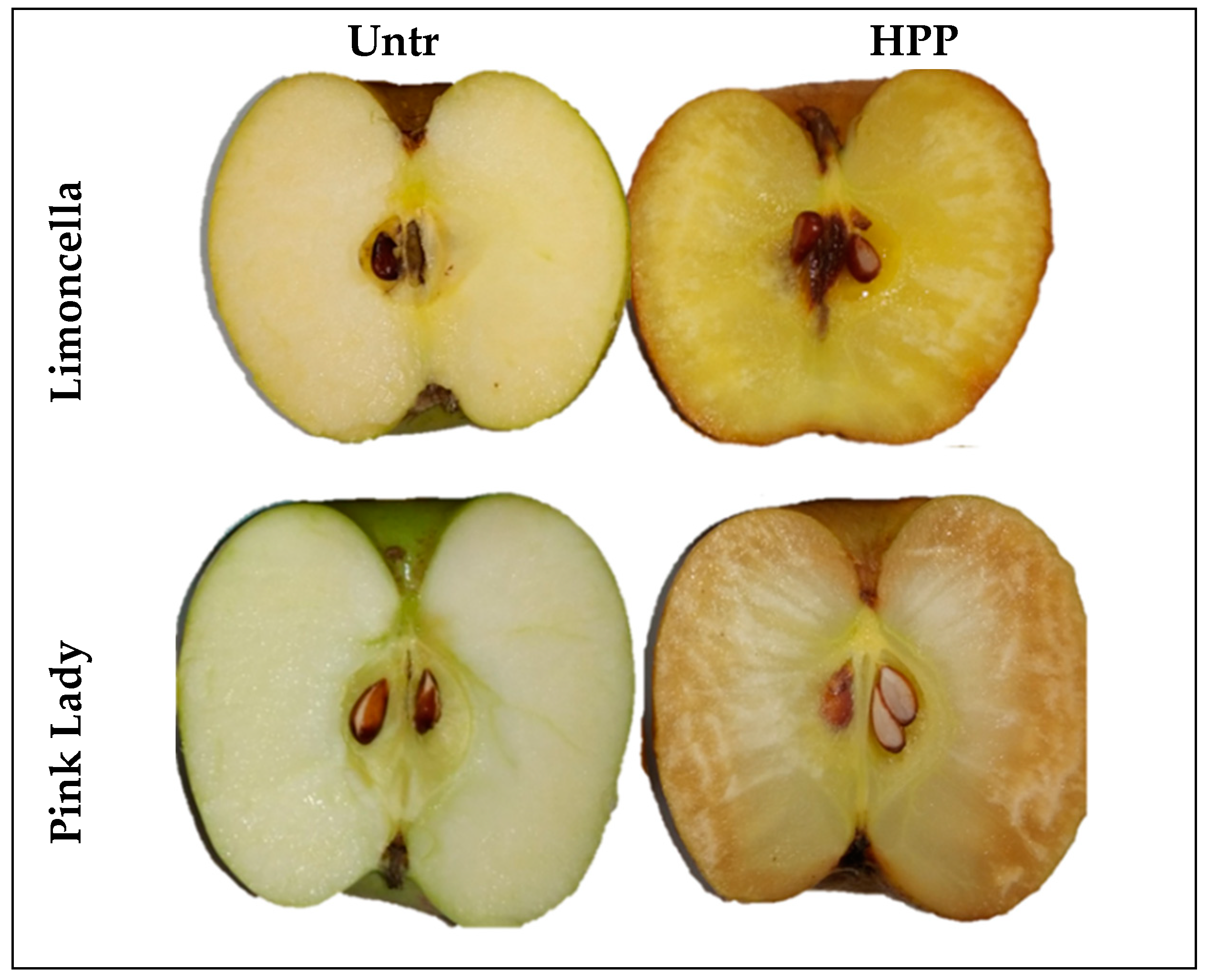 Foods 13 02182 g002 Foods 13 02182 g002