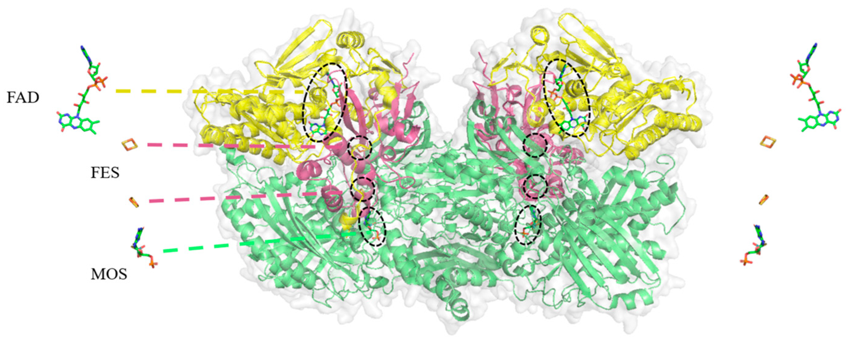 Foods 13 02365 g001 Foods 13 02365 g001