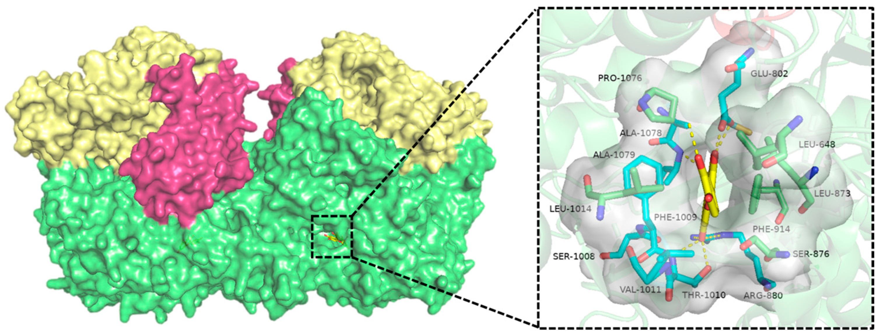 Foods 13 02365 g002 Foods 13 02365 g002