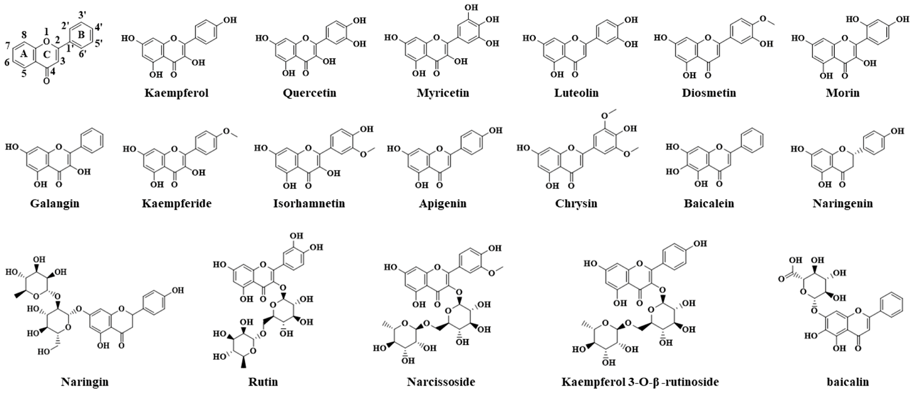 Foods 13 02365 g003 Foods 13 02365 g003