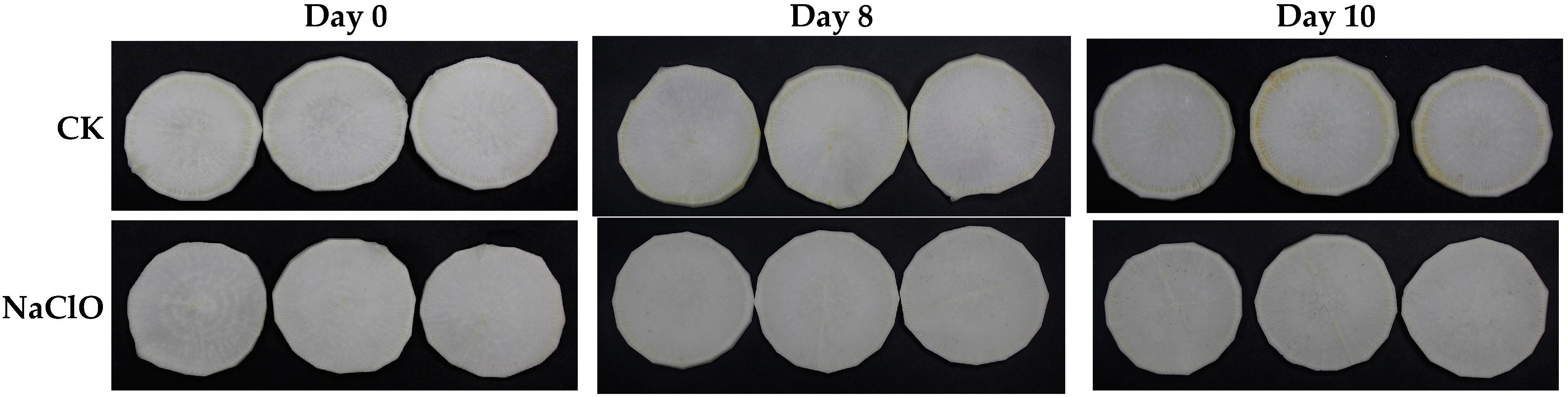 Foods 13 02367 g002a