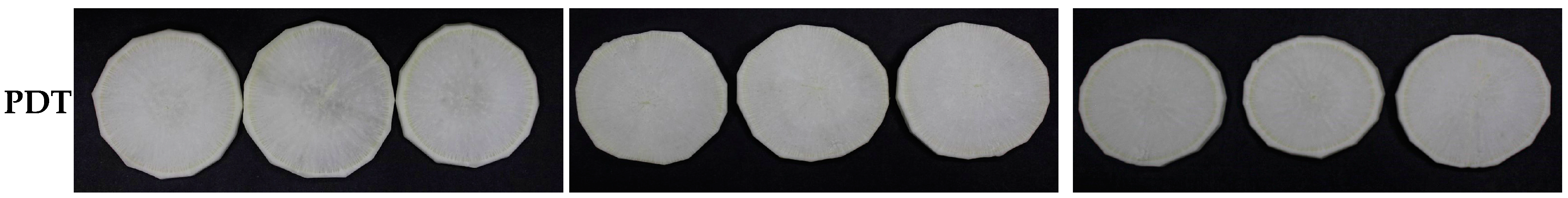 Foods 13 02367 g002b