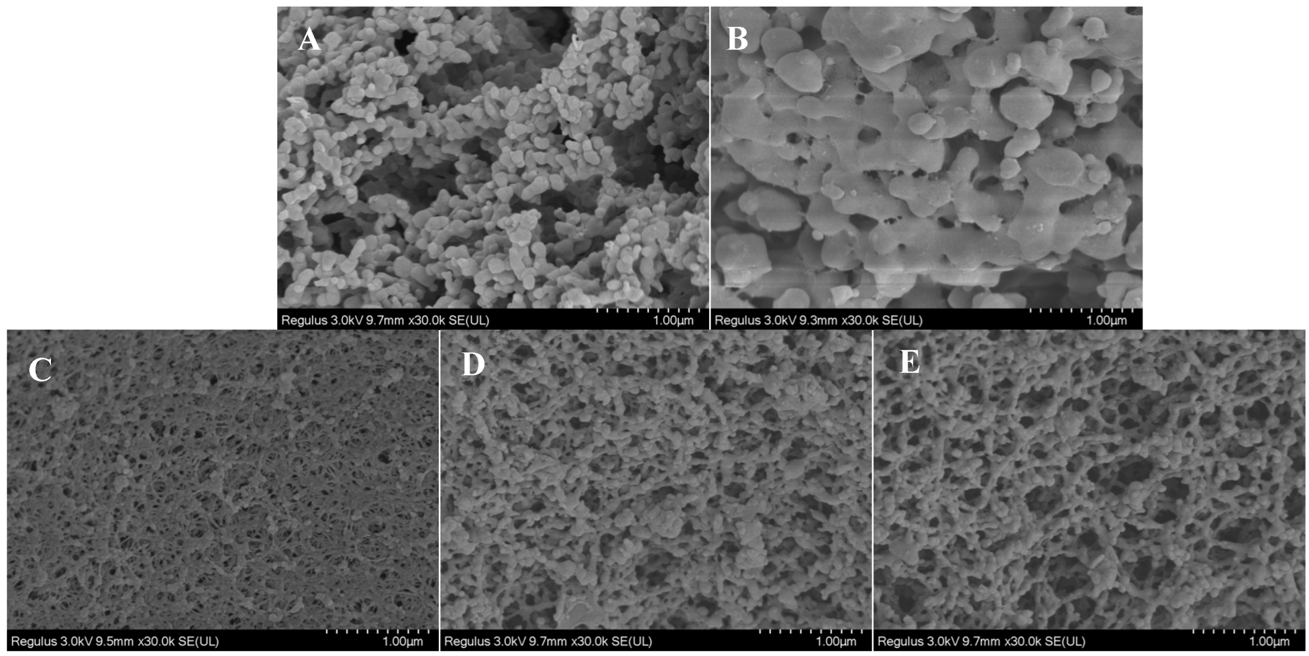 Foods 13 02395 g001 Foods 13 02395 g001